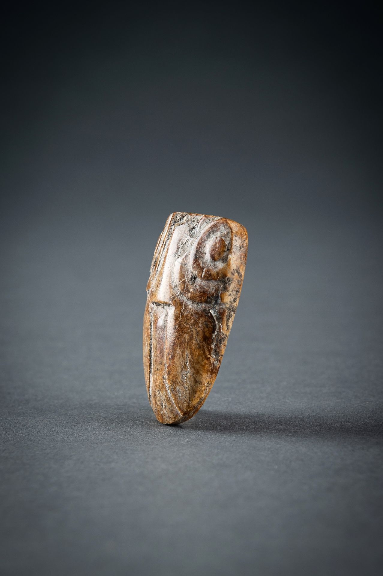 AN ARCHAISTIC AMBER JADE PENDANT OF A CICADA, QING DYNASTY OR EARLIER - Image 7 of 17