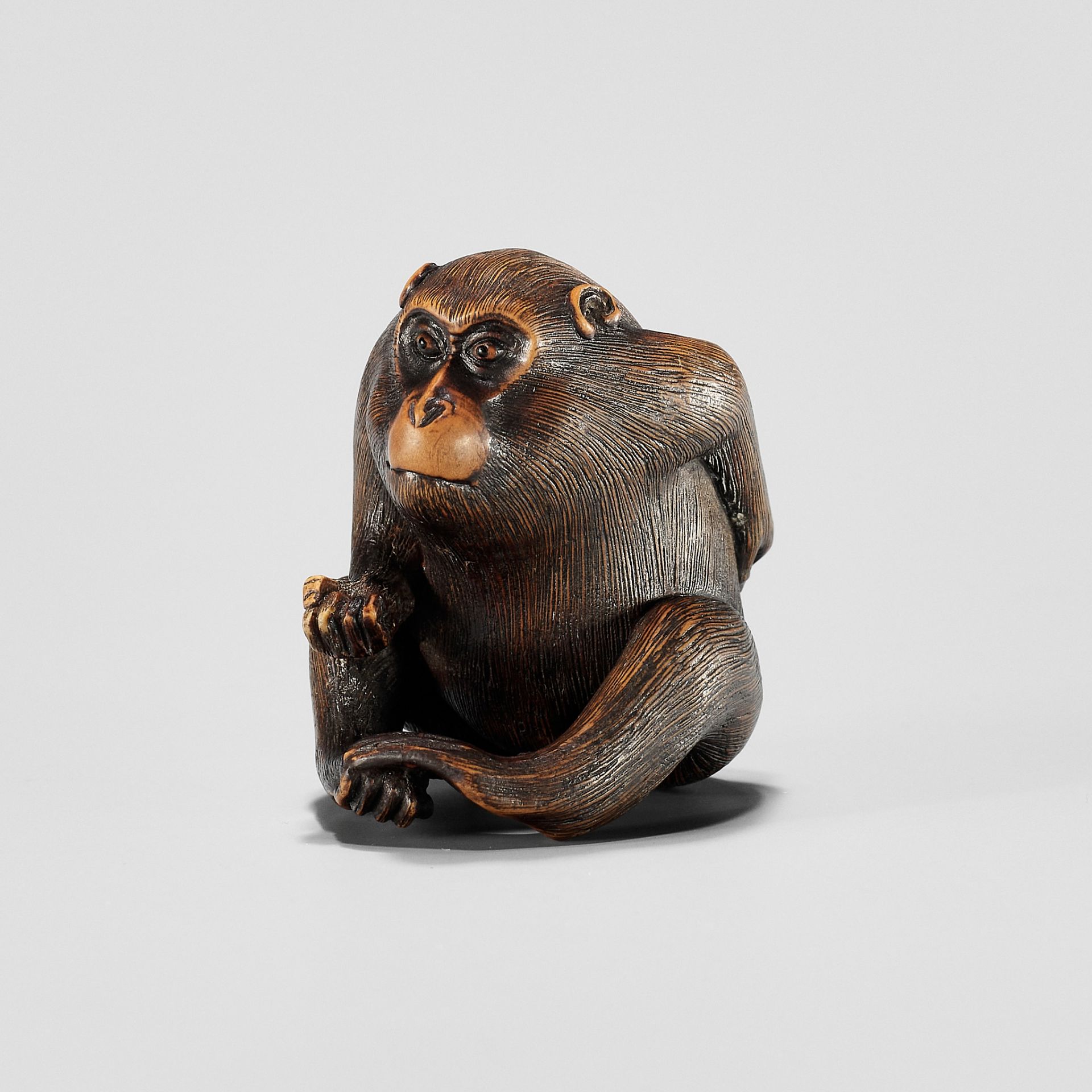 KAZUMASA: A WOOD NETSUKE OF A MONKEY PICKING FLEAS