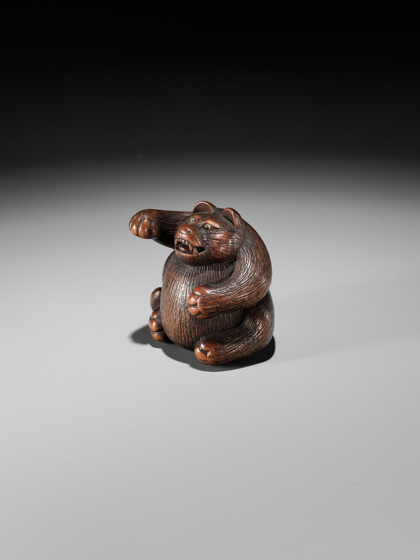 MINKO: A WOOD NETSUKE OF TANUKI HARA NO TSUZUMI - Image 3 of 11