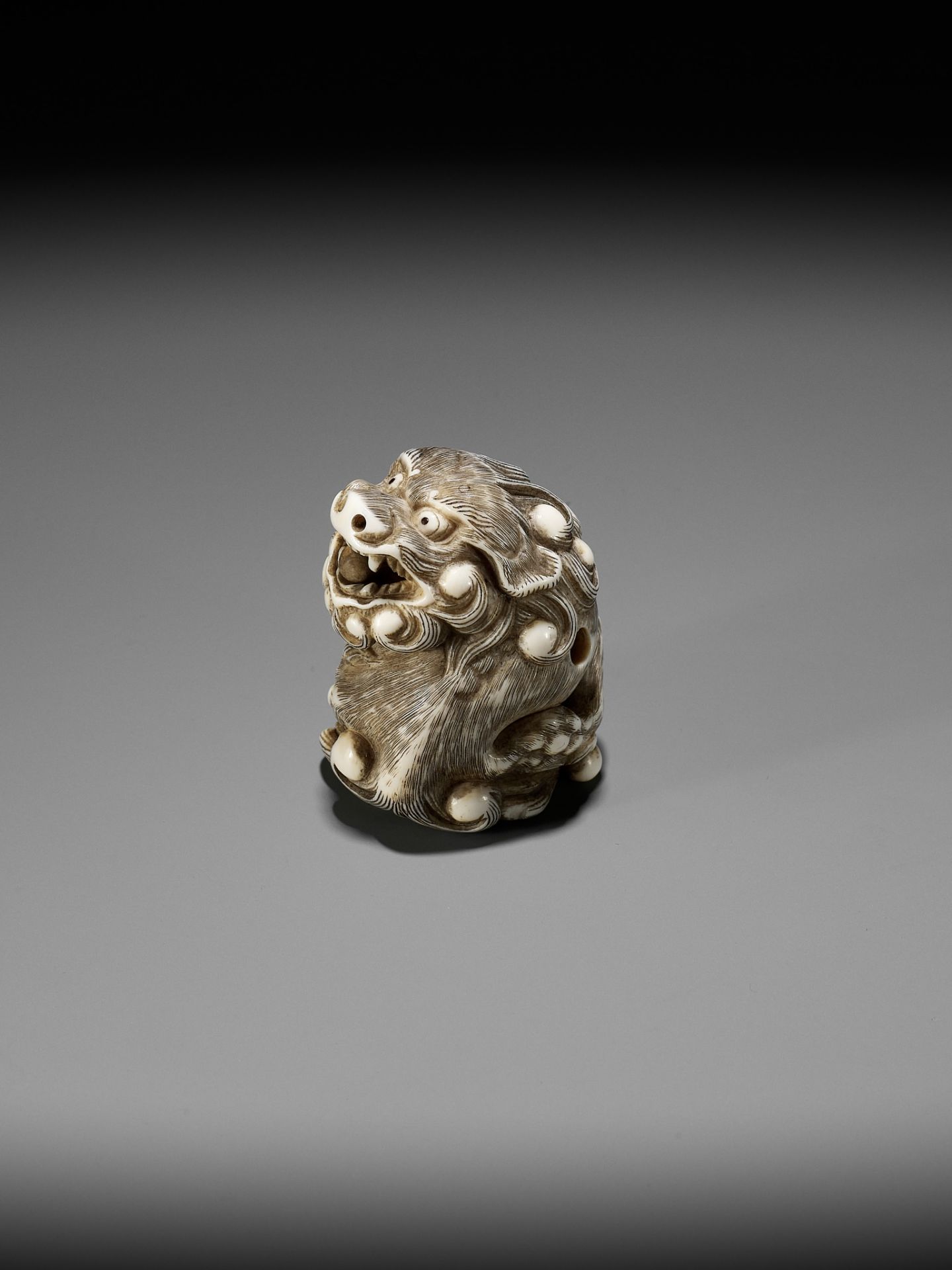 A POWERFUL IVORY NETSUKE OF A SNARLING SHISHI WITH BALL, ATTRIBUTED TO MITSUHARU - Image 7 of 14