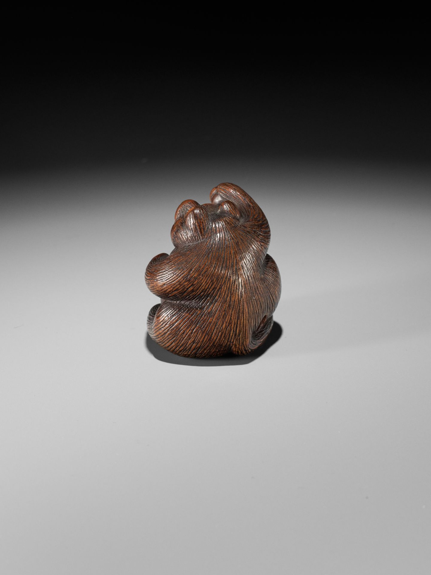 MINKO: A WOOD NETSUKE OF TANUKI HARA NO TSUZUMI - Bild 5 aus 11