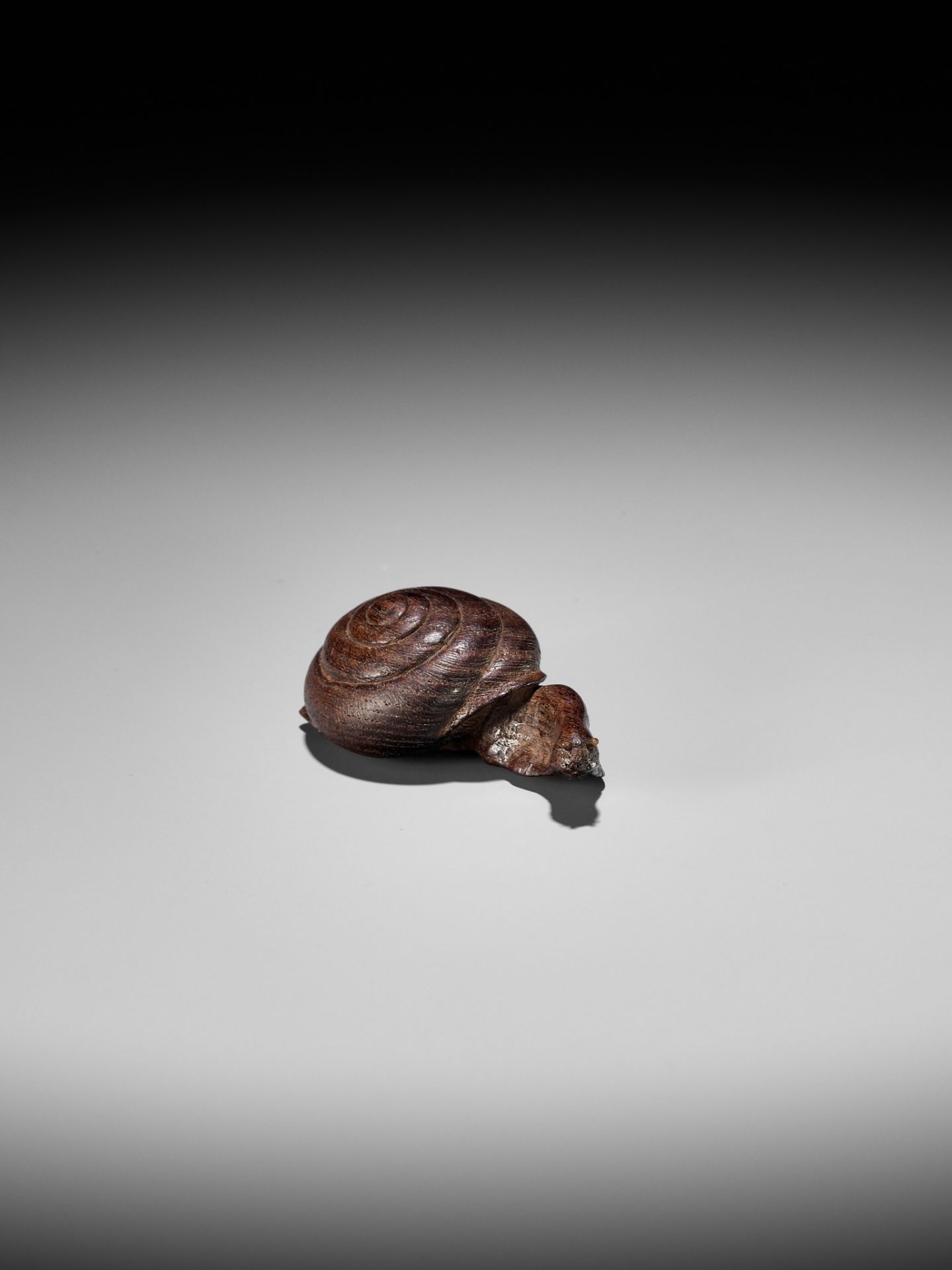 YUZAN: AN UNUSUAL WOOD NETSUKE OF A SNAIL EMERGING FROM ITS SHELL - Image 3 of 11