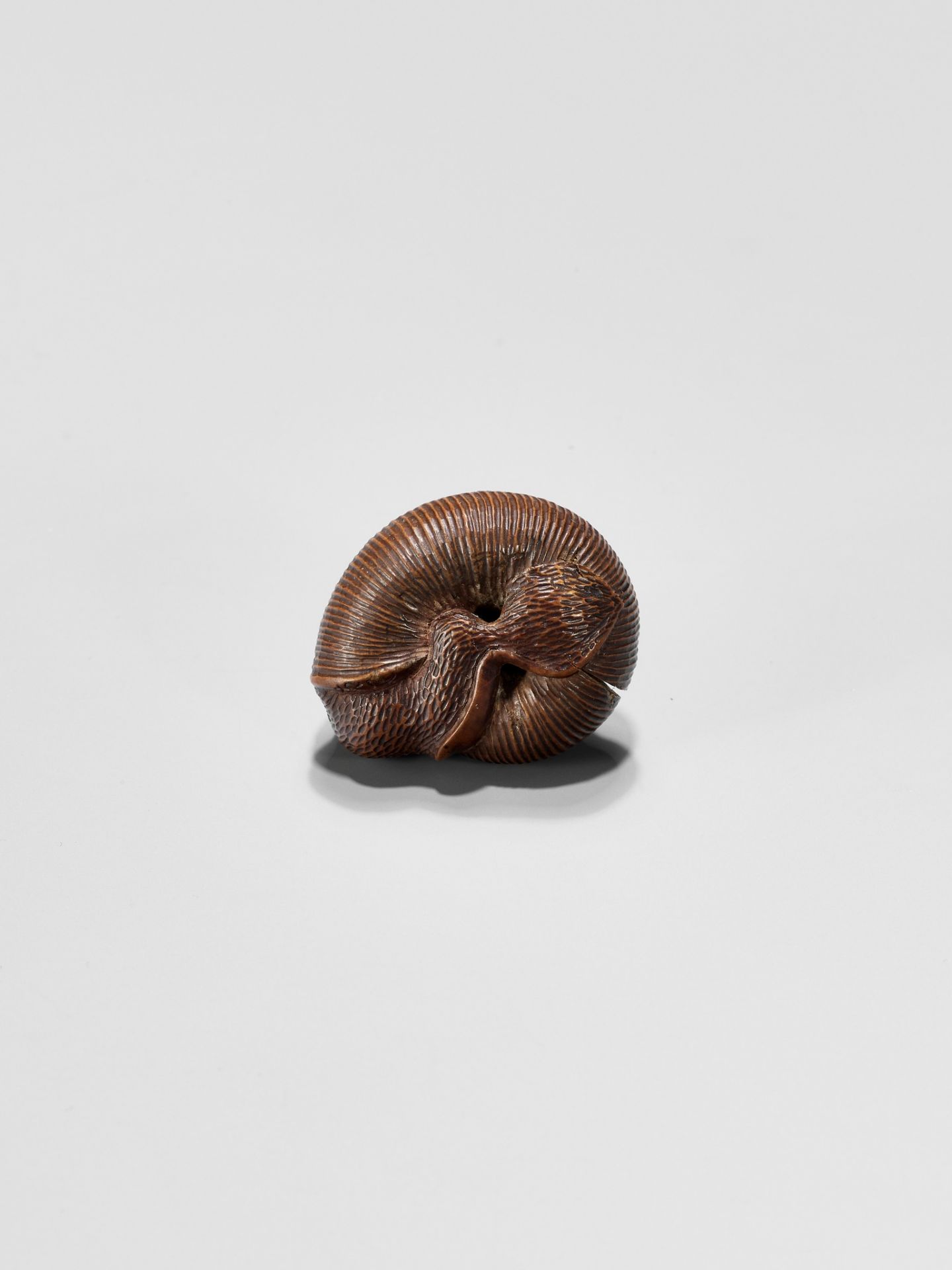 SARI: A FINE WOOD NETSUKE OF A SNAIL EMERGING FROM ITS SHELL - Image 11 of 12