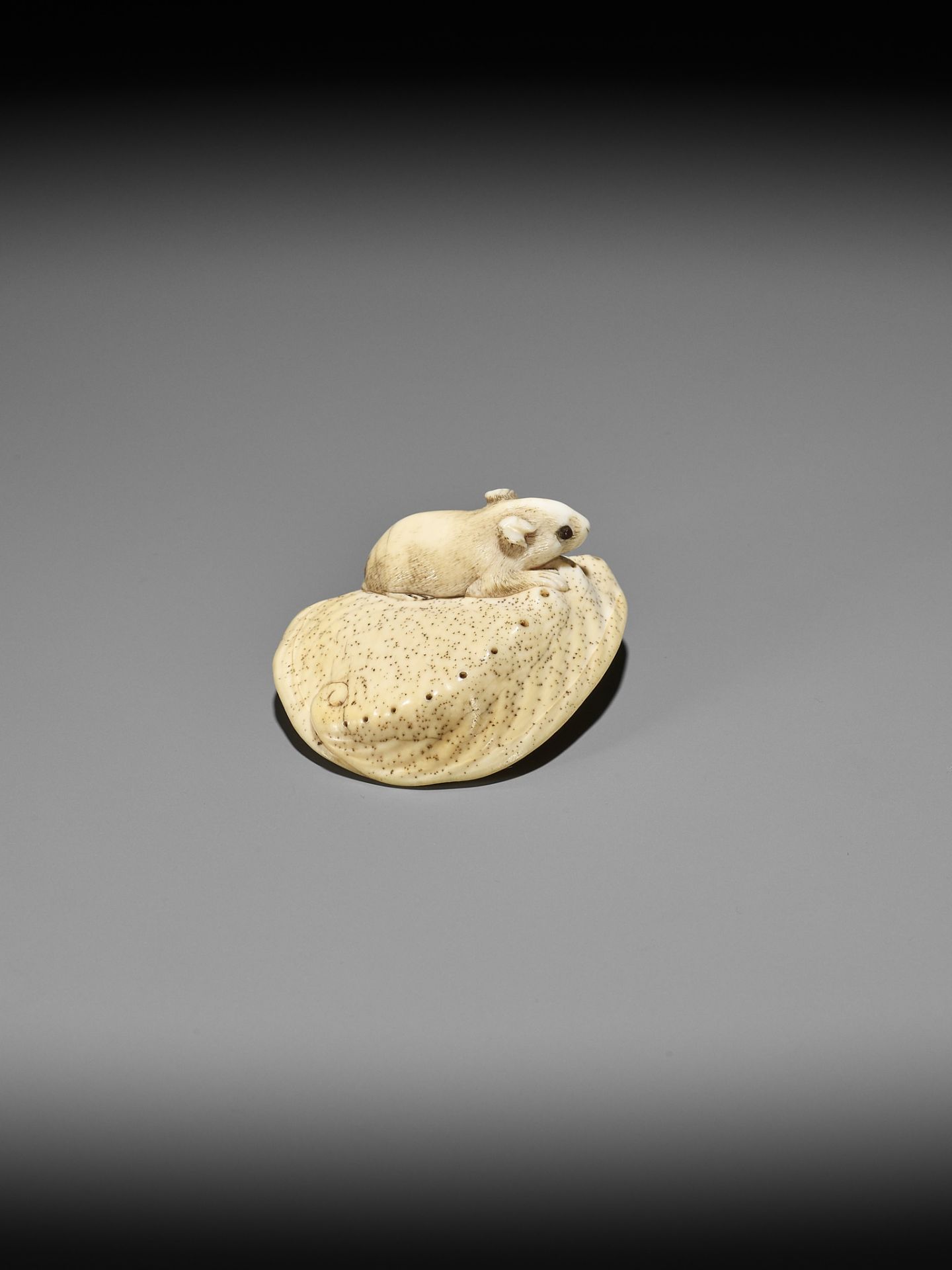 AN IVORY NETSUKE OF A RAT ON AWABI SHELL - Image 6 of 12