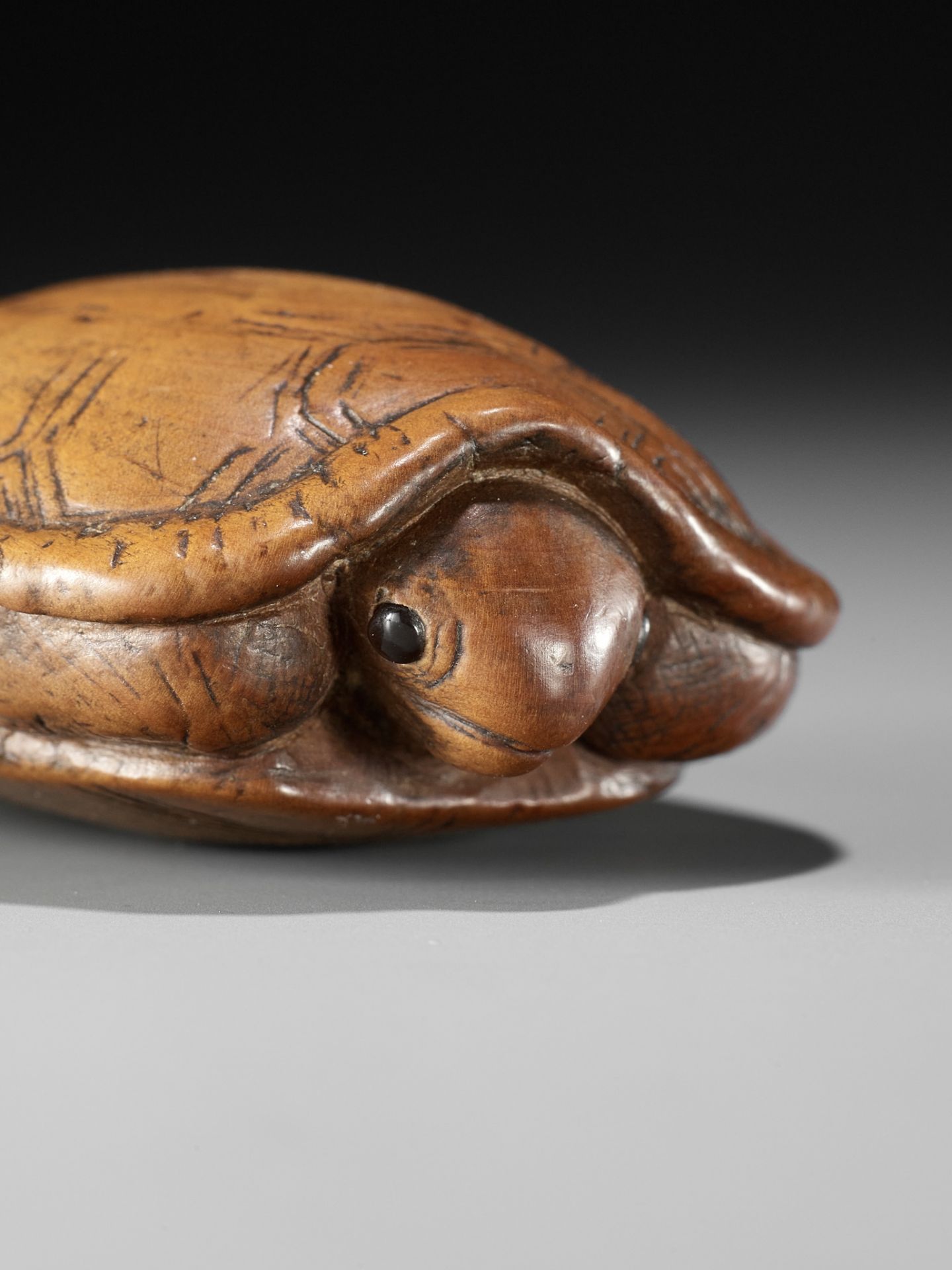 AN OLD WOOD NETSUKE OF A TORTOISE - Image 5 of 9