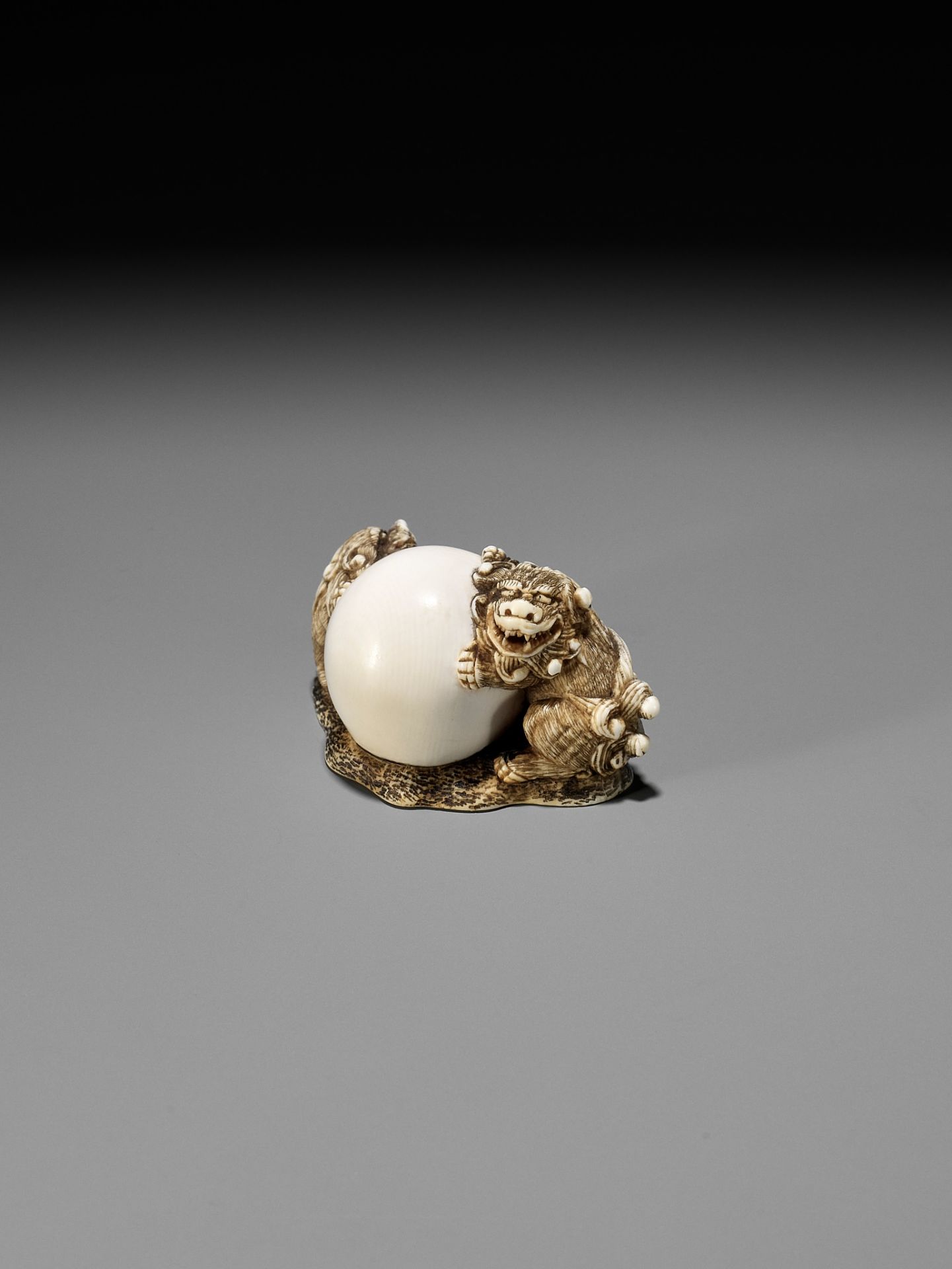 AN IVORY NETSUKE OF TWO SHISHI WITH LARGE BALL - Image 9 of 11