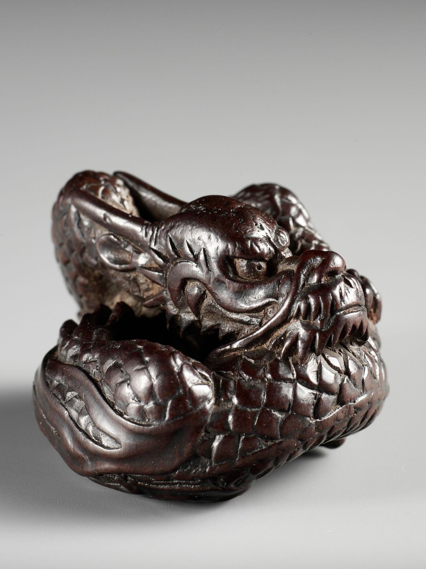 A SUPERB WOOD NETSUKE OF A COILED DRAGON, ATTRIBUTED TO TAMETAKA - Image 11 of 11