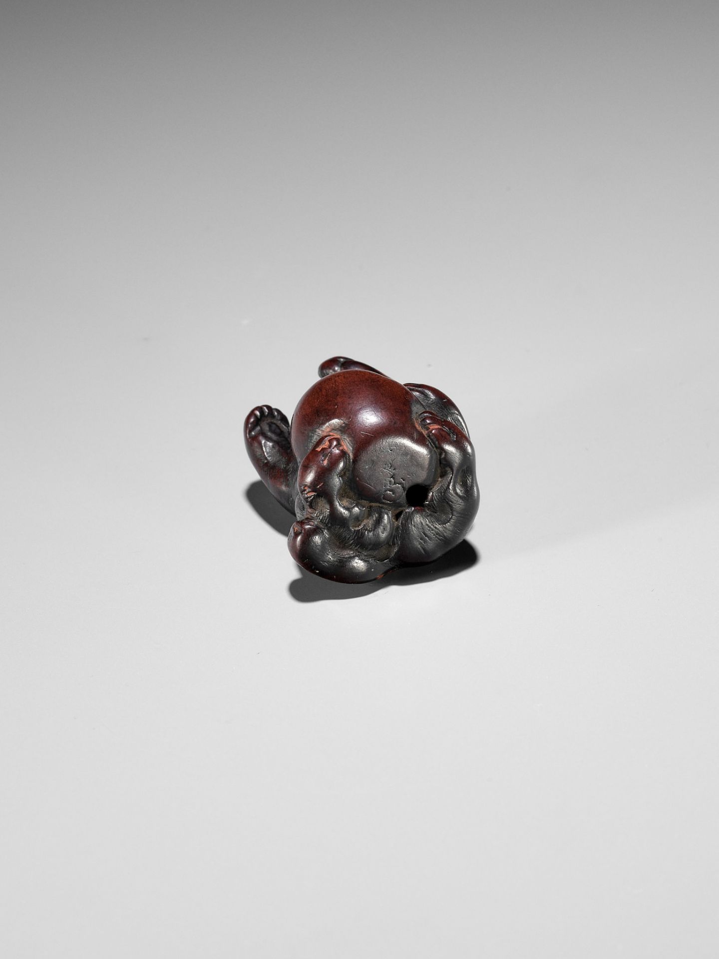 ITTAN: A WOOD NETSUKE DEPICTING TANUKI NO HARA TSUZUMI - Image 9 of 10