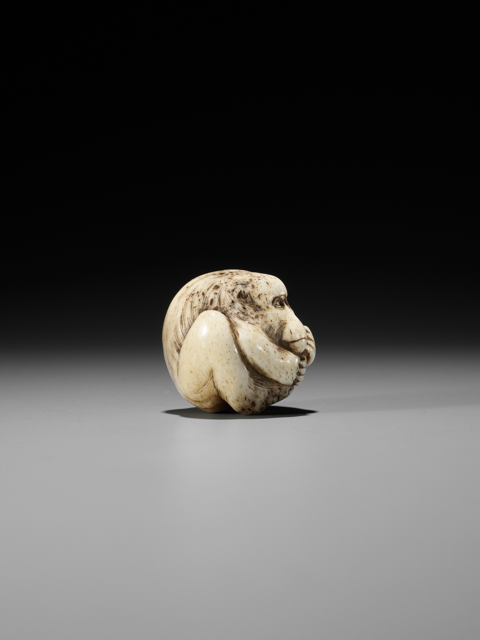 A RARE STAG ANTLER NETSUKE OF A COILED MONKEY - Image 7 of 10