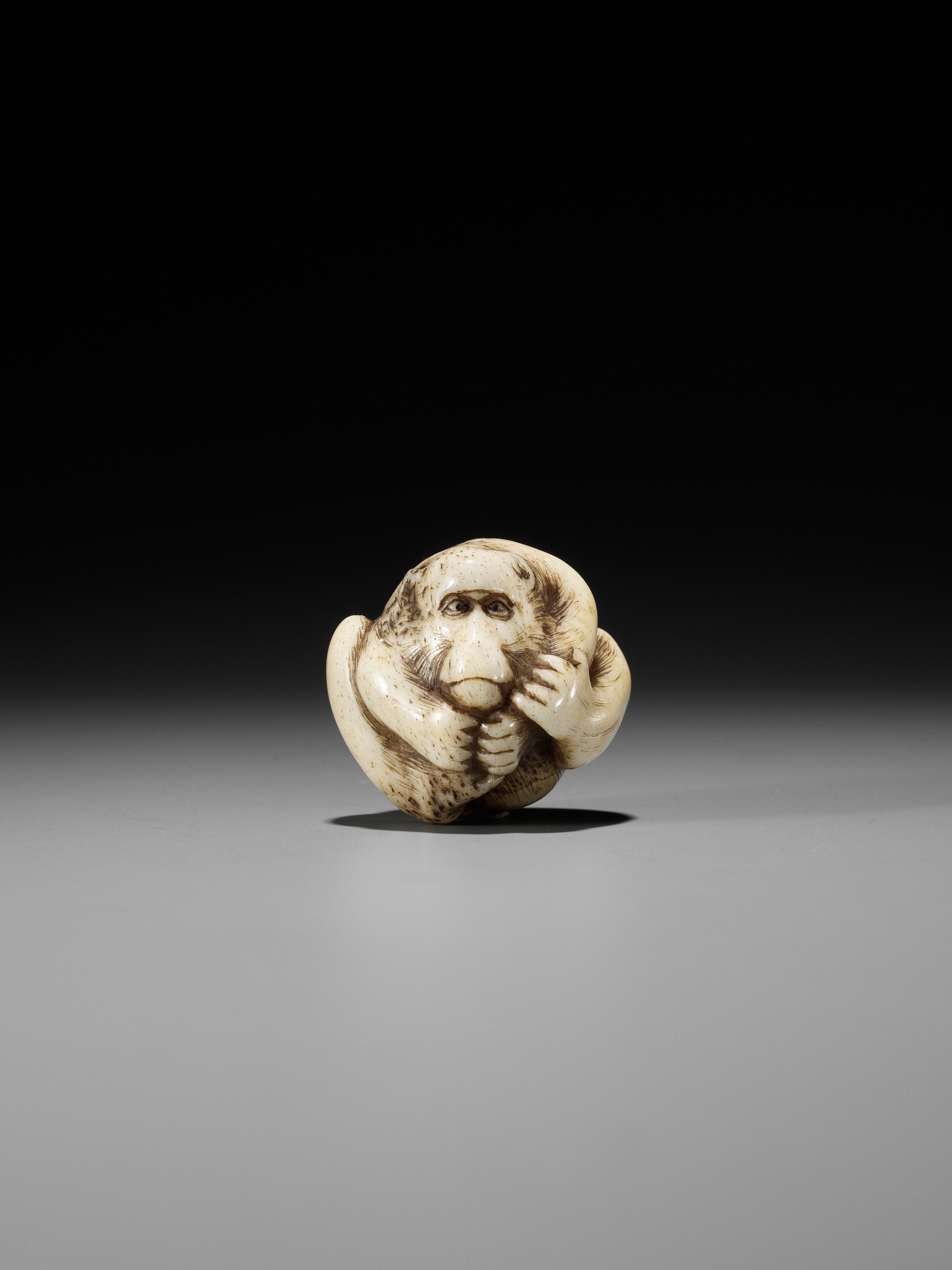 A RARE STAG ANTLER NETSUKE OF A COILED MONKEY - Image 9 of 10