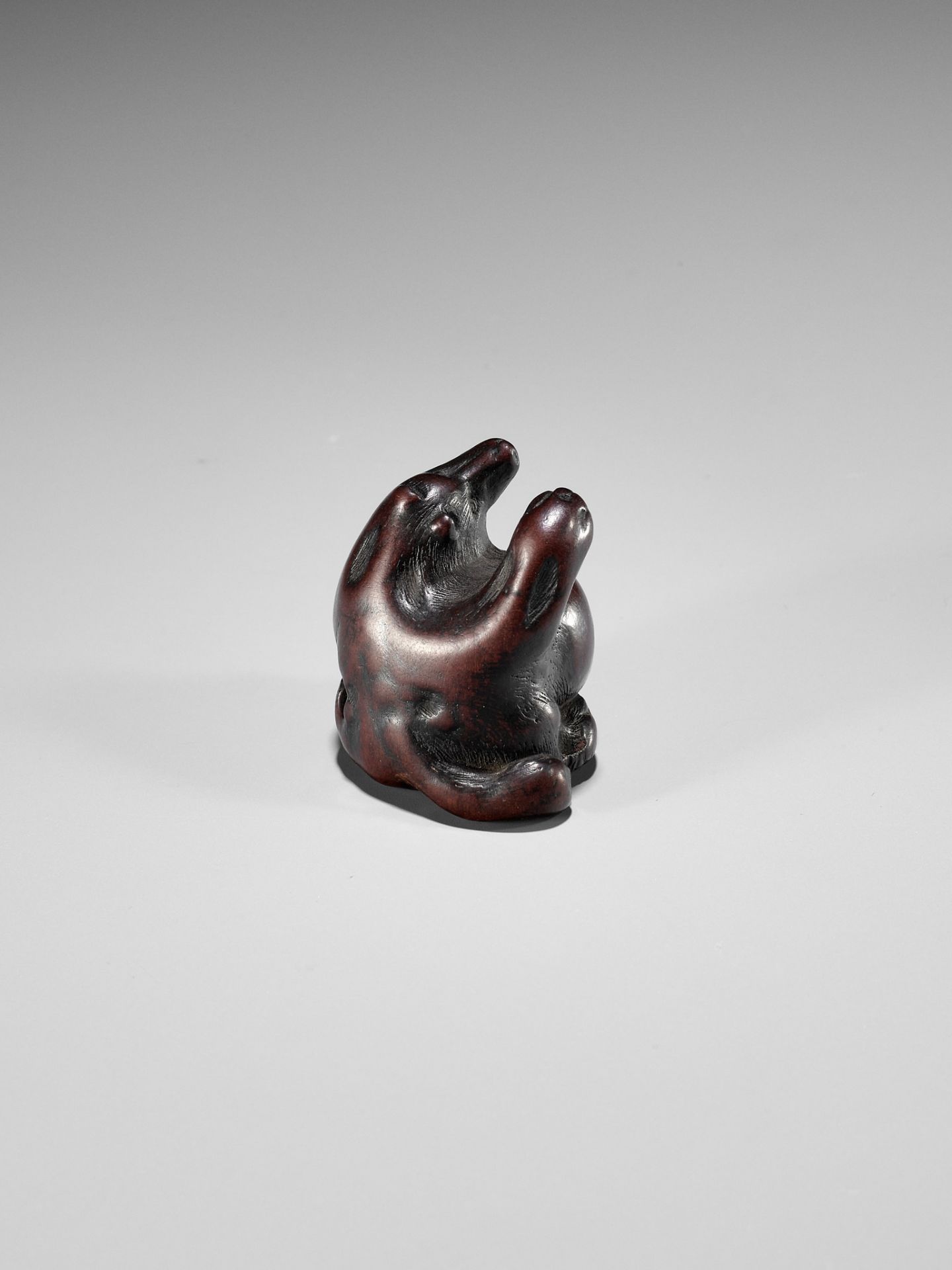 ITTAN: A WOOD NETSUKE DEPICTING TANUKI NO HARA TSUZUMI - Image 3 of 10