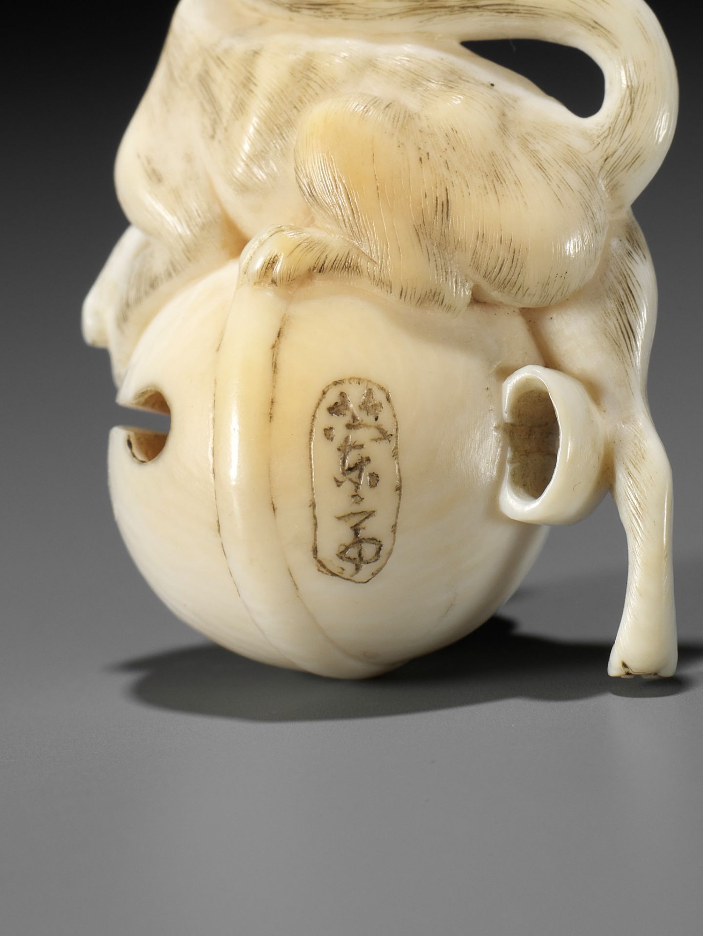 RANTEI: A FINE IVORY NETSUKE OF A FOX WITH TEMPLE BELL - Image 11 of 12