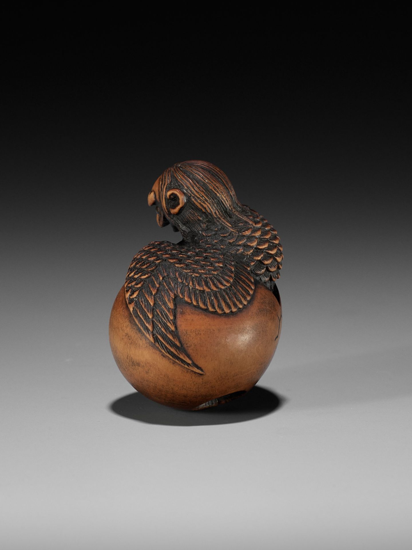 TOYOYO: A WOOD NETSUKE OF A HATCHING TENGU (TENGU NO TOMAGO) - Image 11 of 14