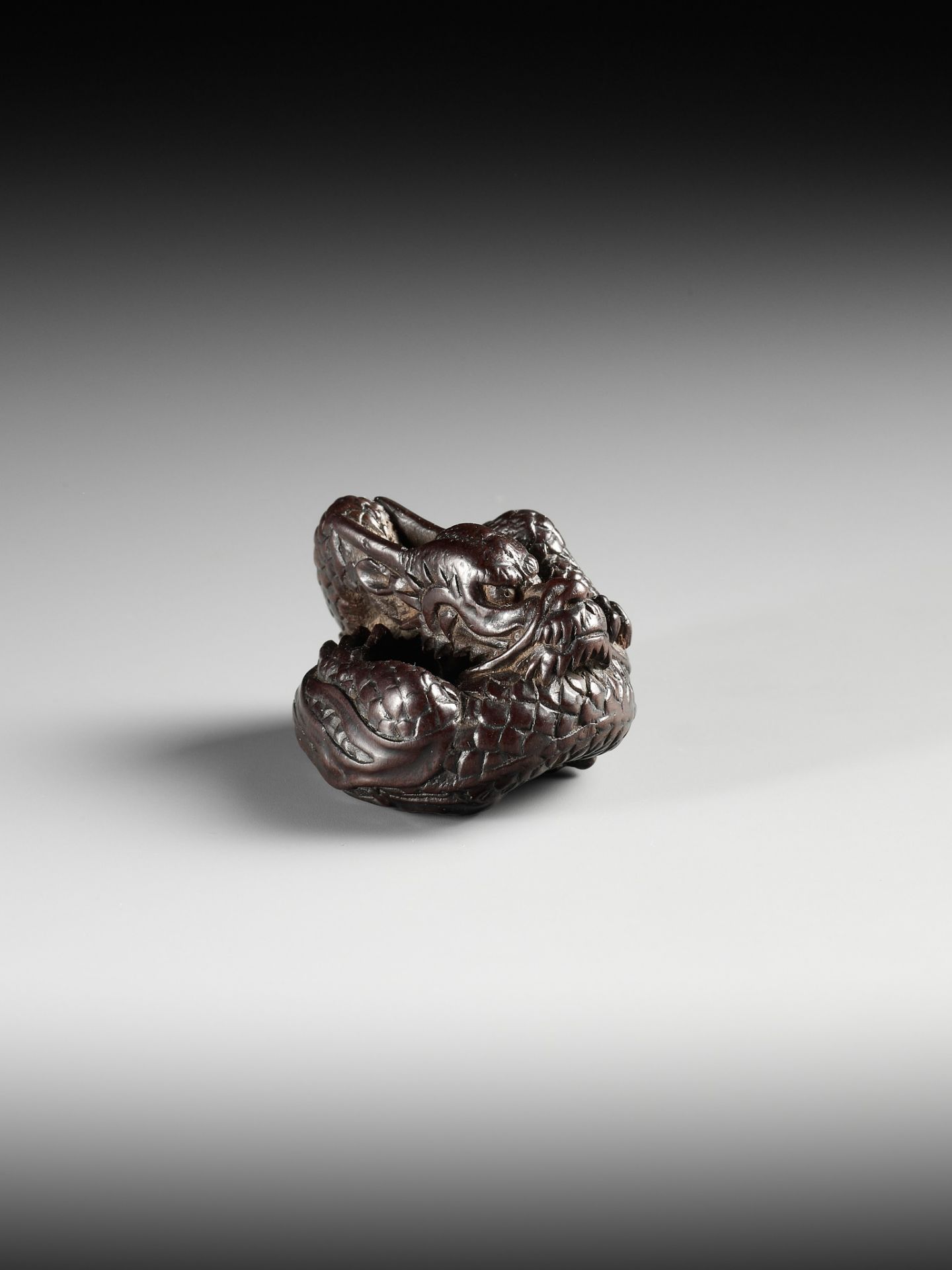 A SUPERB WOOD NETSUKE OF A COILED DRAGON, ATTRIBUTED TO TAMETAKA - Image 4 of 11