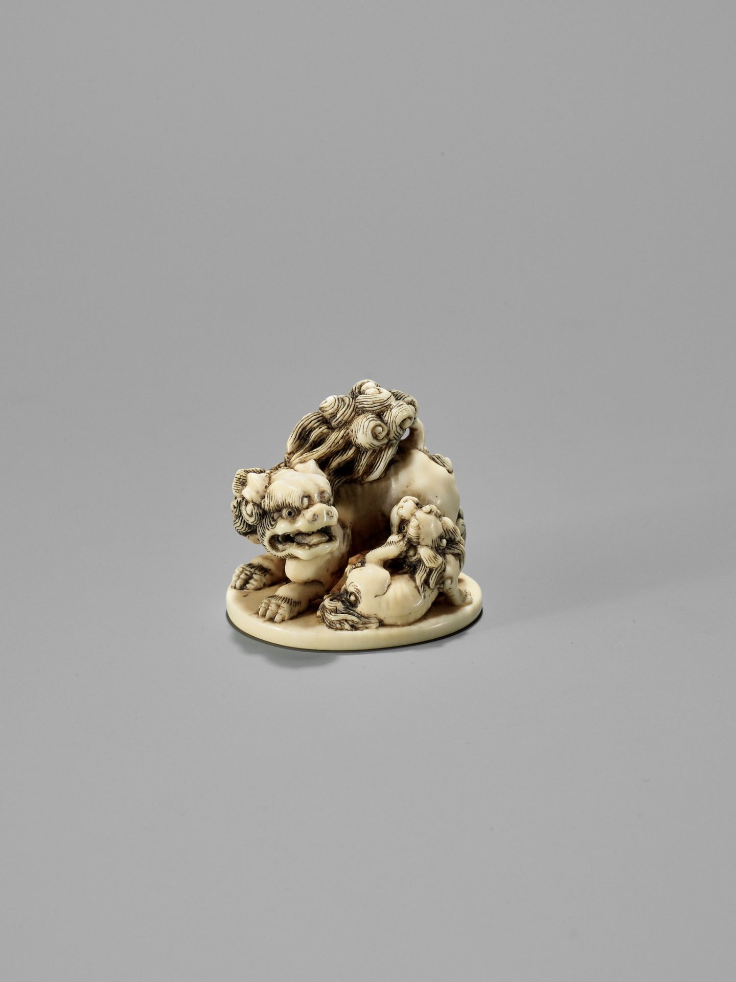 TOSHINAGA: AN IVORY NETSUKE OF A SHISHI WITH YOUNG - Image 9 of 12