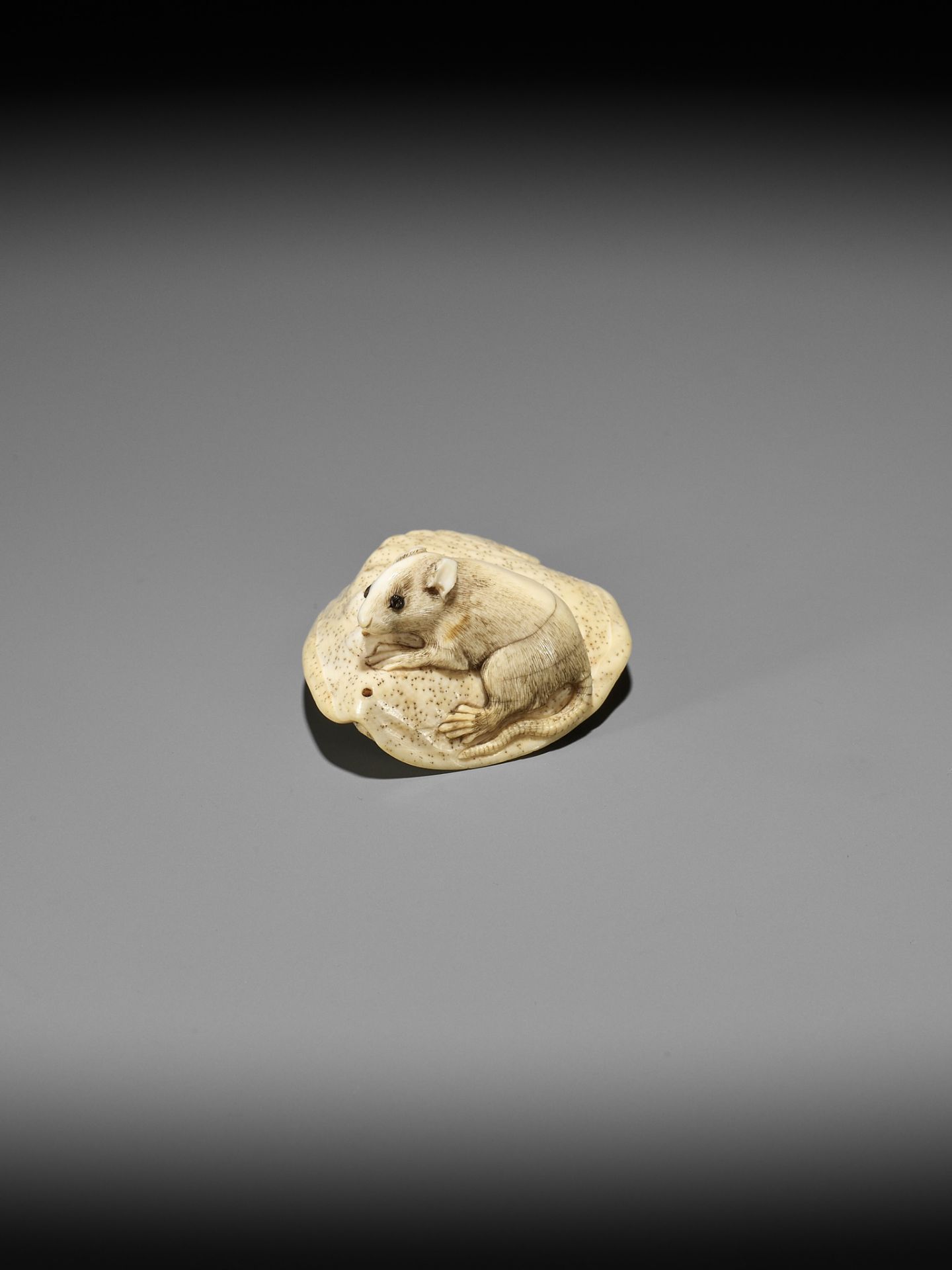 AN IVORY NETSUKE OF A RAT ON AWABI SHELL - Image 3 of 12