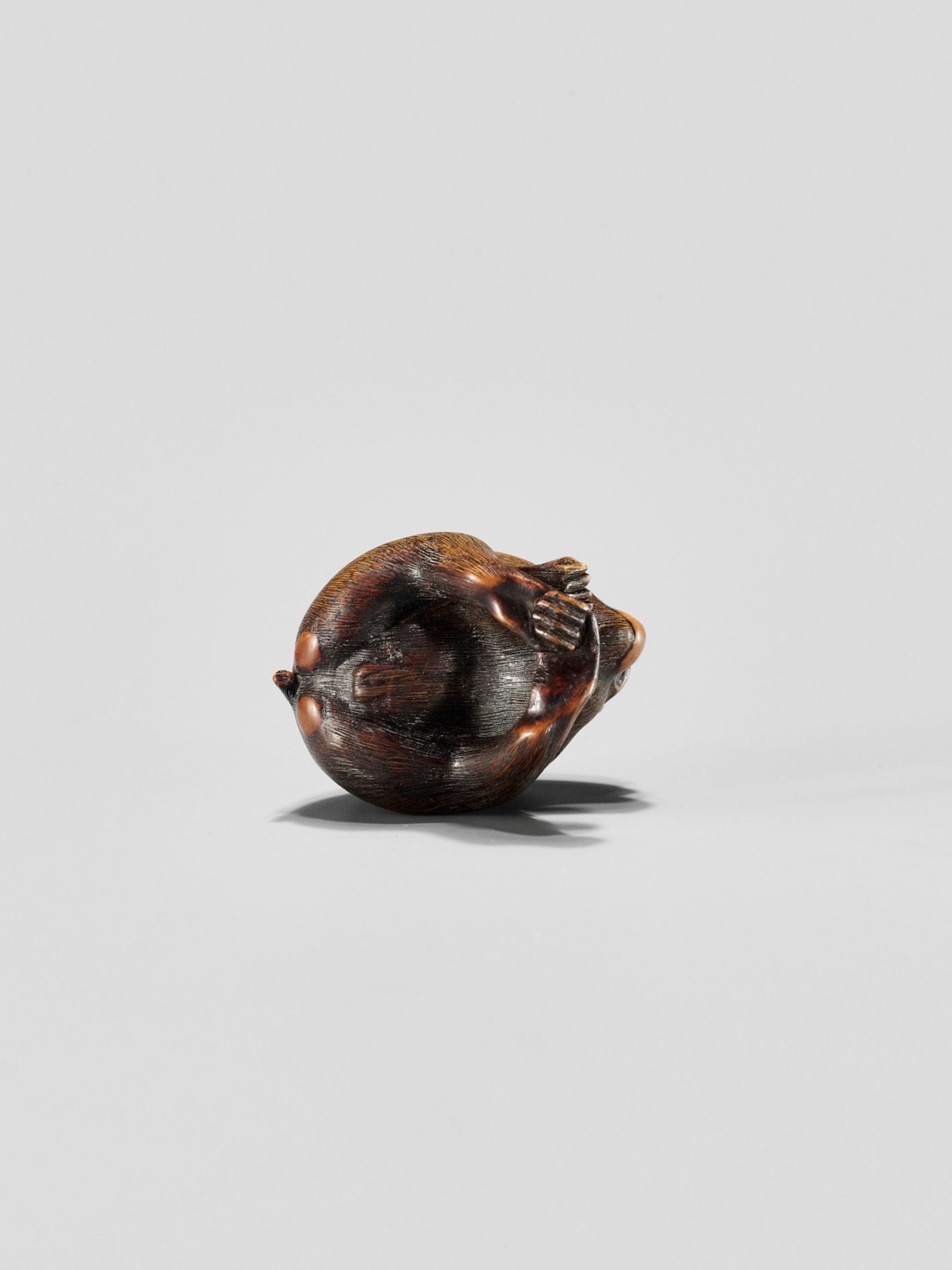 KAZUMASA: A WOOD NETSUKE OF A MONKEY PICKING FLEAS - Image 10 of 11