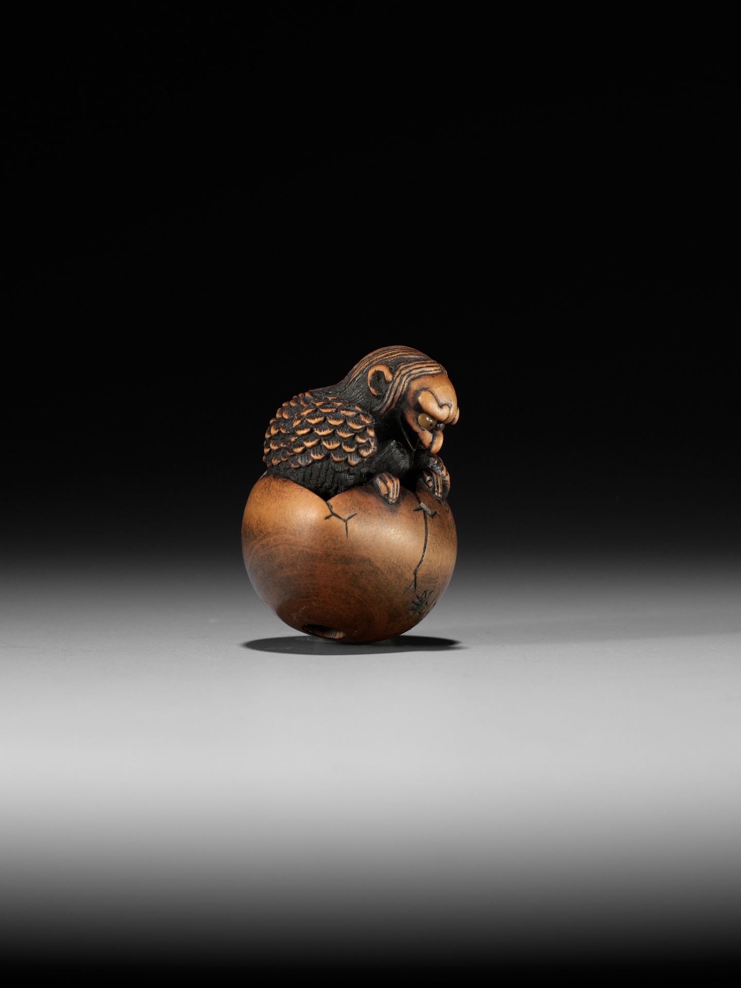 TOYOYO: A WOOD NETSUKE OF A HATCHING TENGU (TENGU NO TOMAGO) - Image 7 of 14