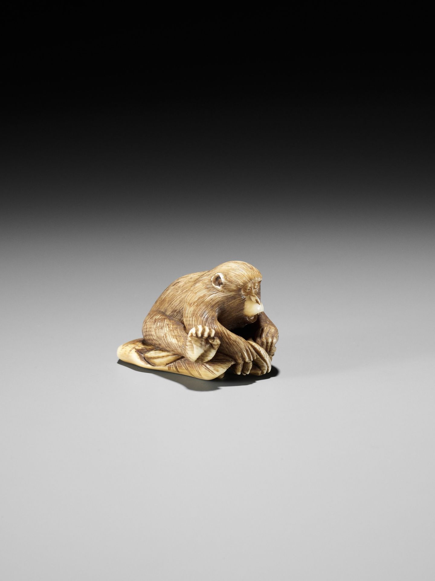 AN IVORY NETSUKE OF A MONKEY, CRAB AND LOTUS - Bild 7 aus 10