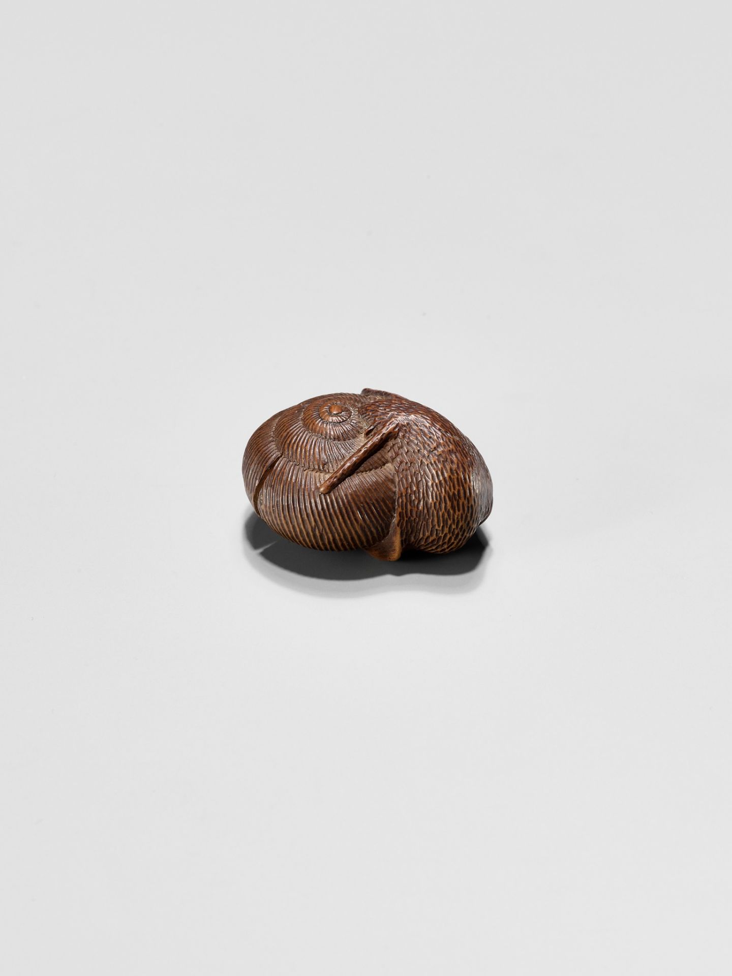 SARI: A FINE WOOD NETSUKE OF A SNAIL EMERGING FROM ITS SHELL - Image 4 of 12