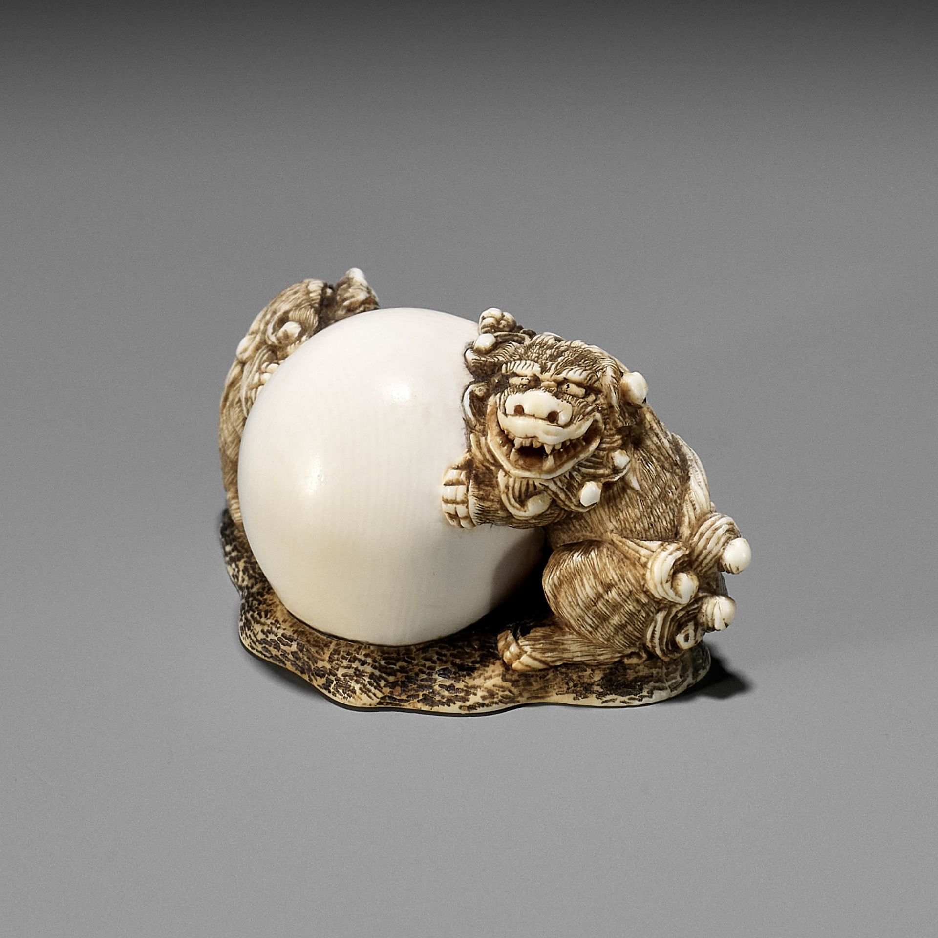 AN IVORY NETSUKE OF TWO SHISHI WITH LARGE BALL