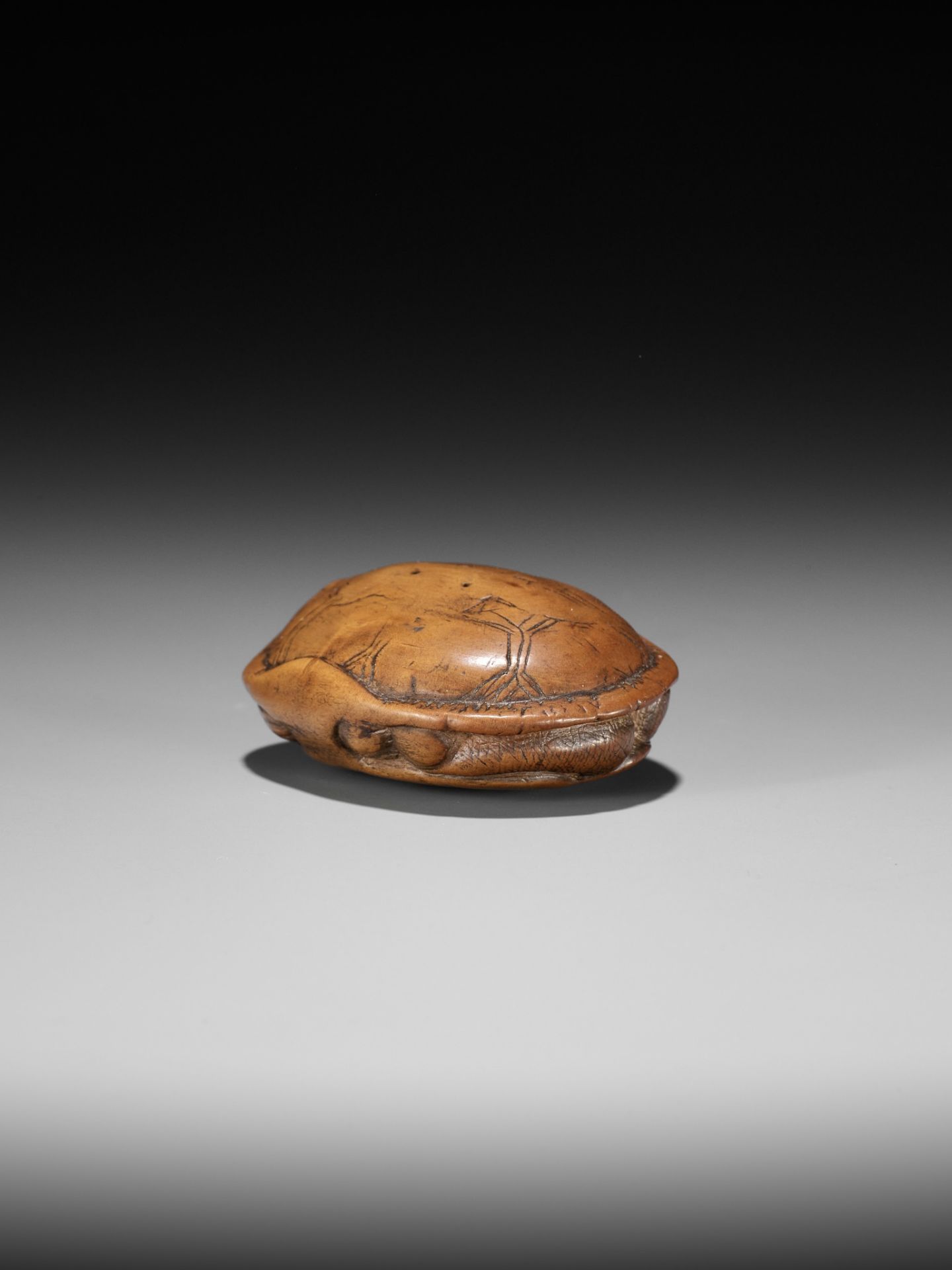 AN OLD WOOD NETSUKE OF A TORTOISE - Image 7 of 9