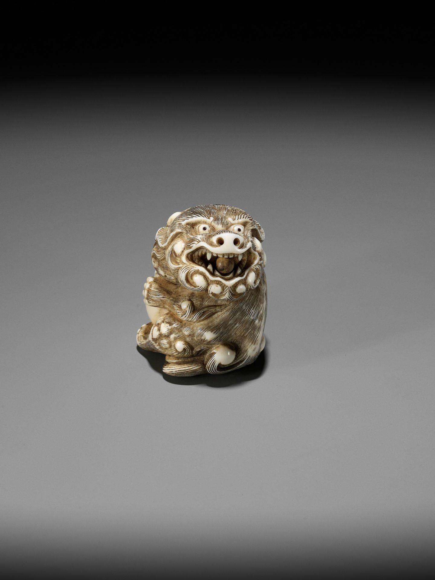 A POWERFUL IVORY NETSUKE OF A SNARLING SHISHI WITH BALL, ATTRIBUTED TO MITSUHARU - Image 4 of 14