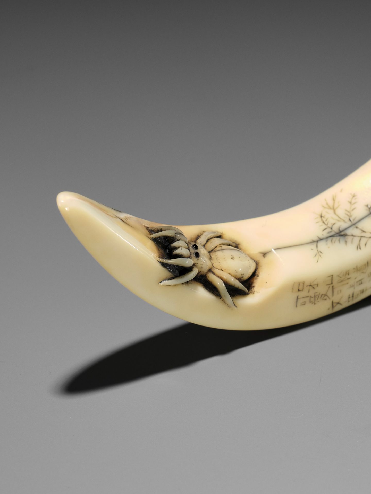 SEIYODO BUNSHOJO: A SUBLIME BOAR TUSK NETSUKE WITH SPIDER AND FERNS - Image 3 of 9