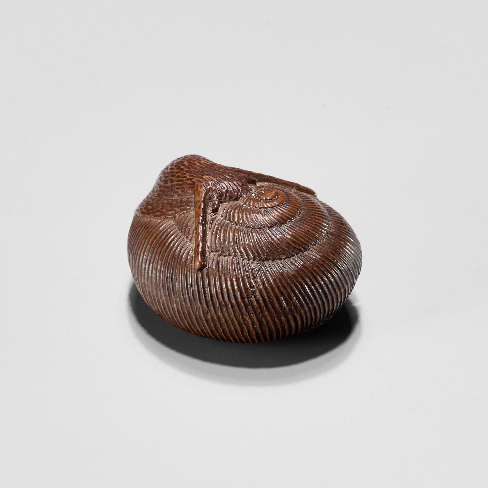 SARI: A FINE WOOD NETSUKE OF A SNAIL EMERGING FROM ITS SHELL