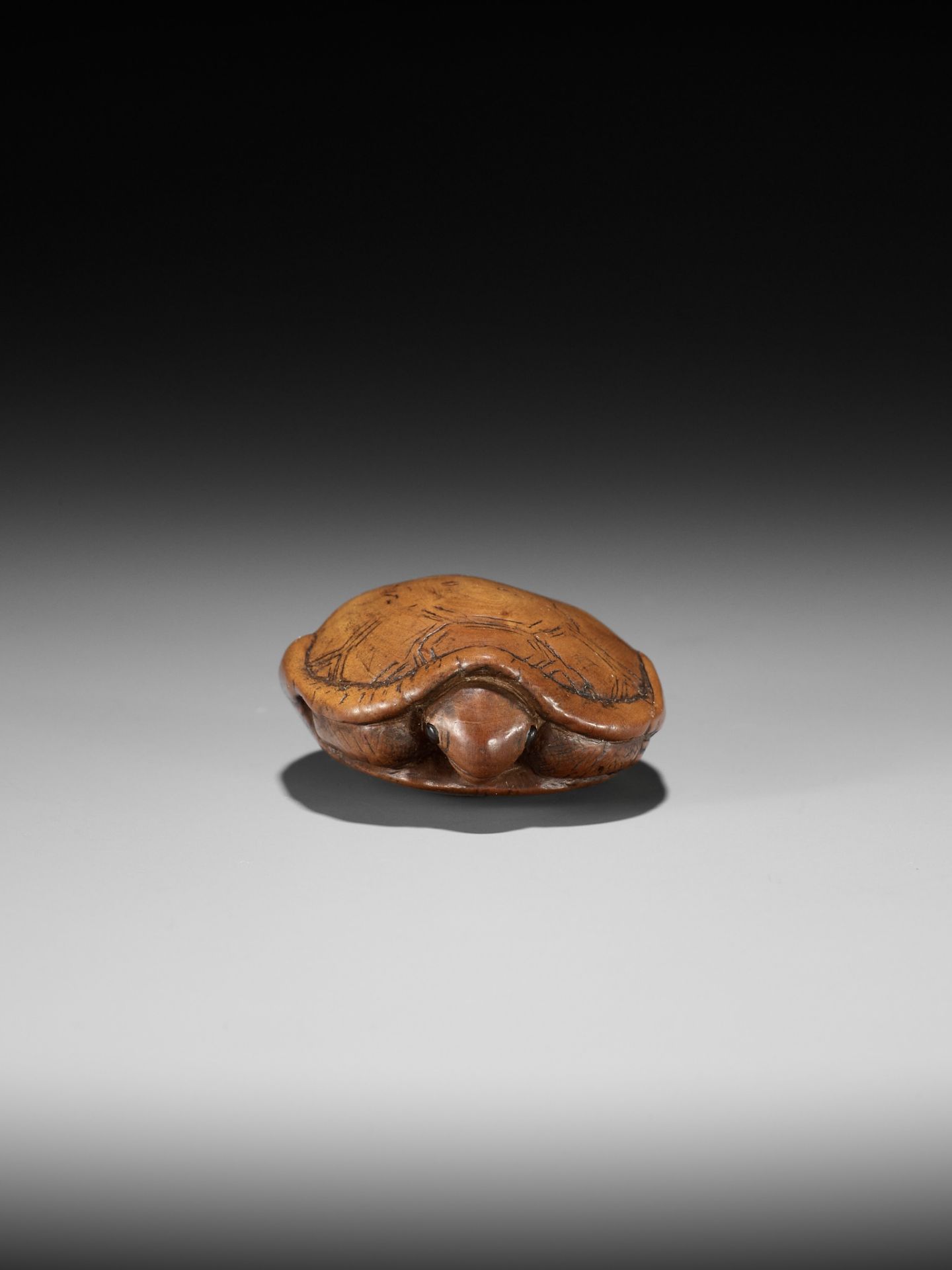 AN OLD WOOD NETSUKE OF A TORTOISE - Image 6 of 9