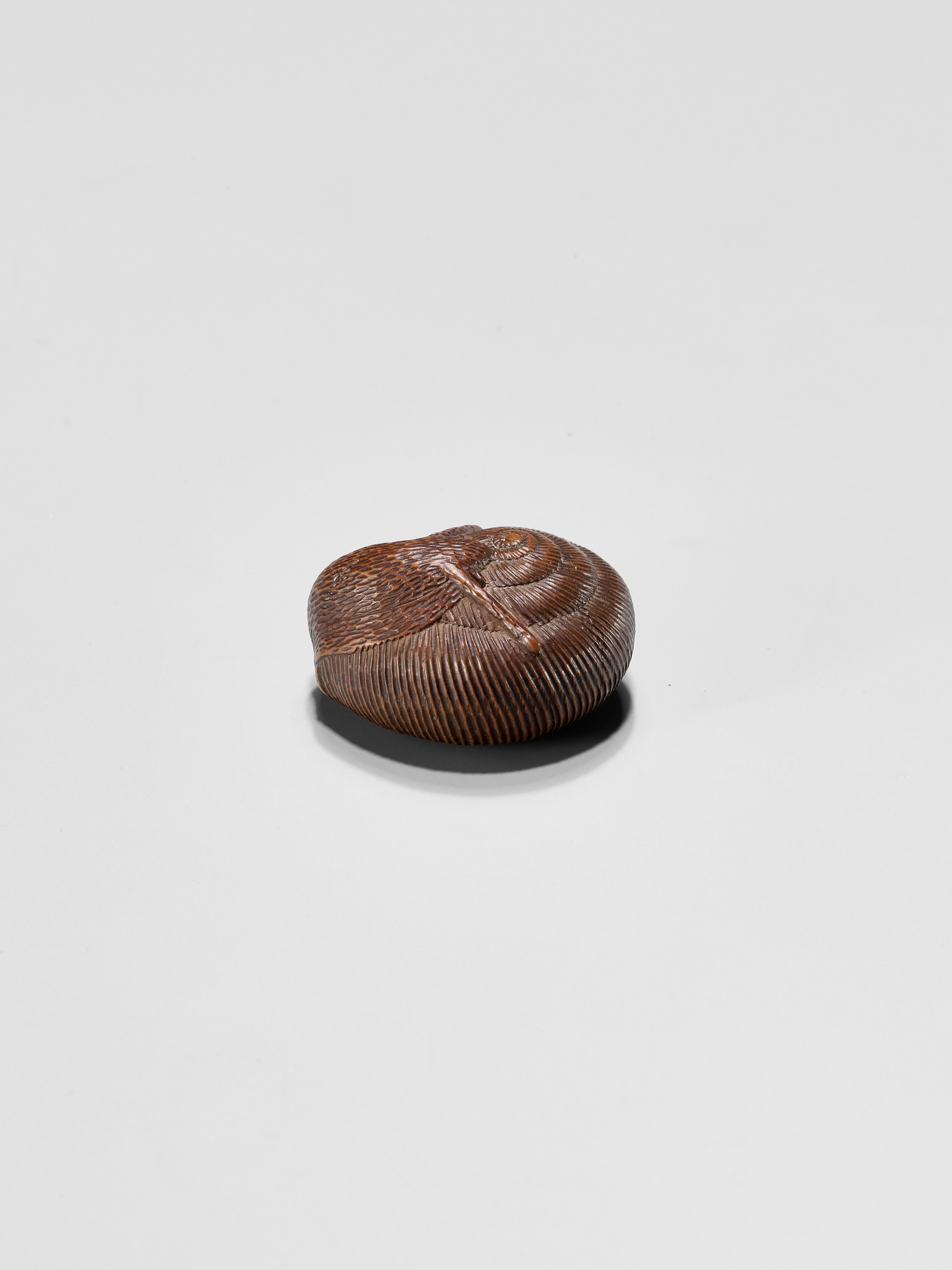 SARI: A FINE WOOD NETSUKE OF A SNAIL EMERGING FROM ITS SHELL - Image 8 of 12