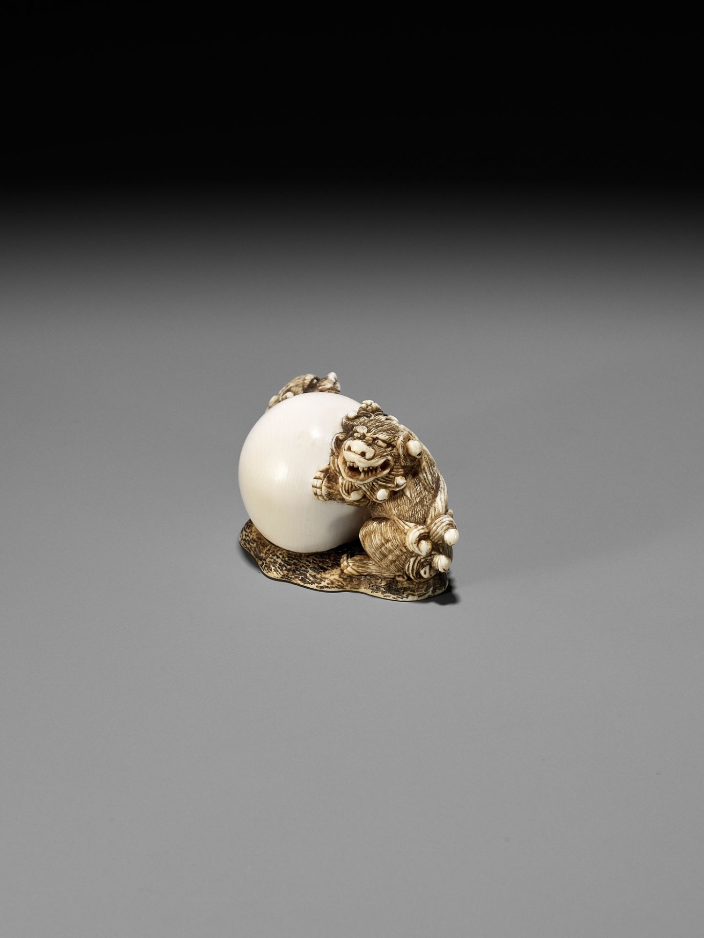 AN IVORY NETSUKE OF TWO SHISHI WITH LARGE BALL - Bild 2 aus 11