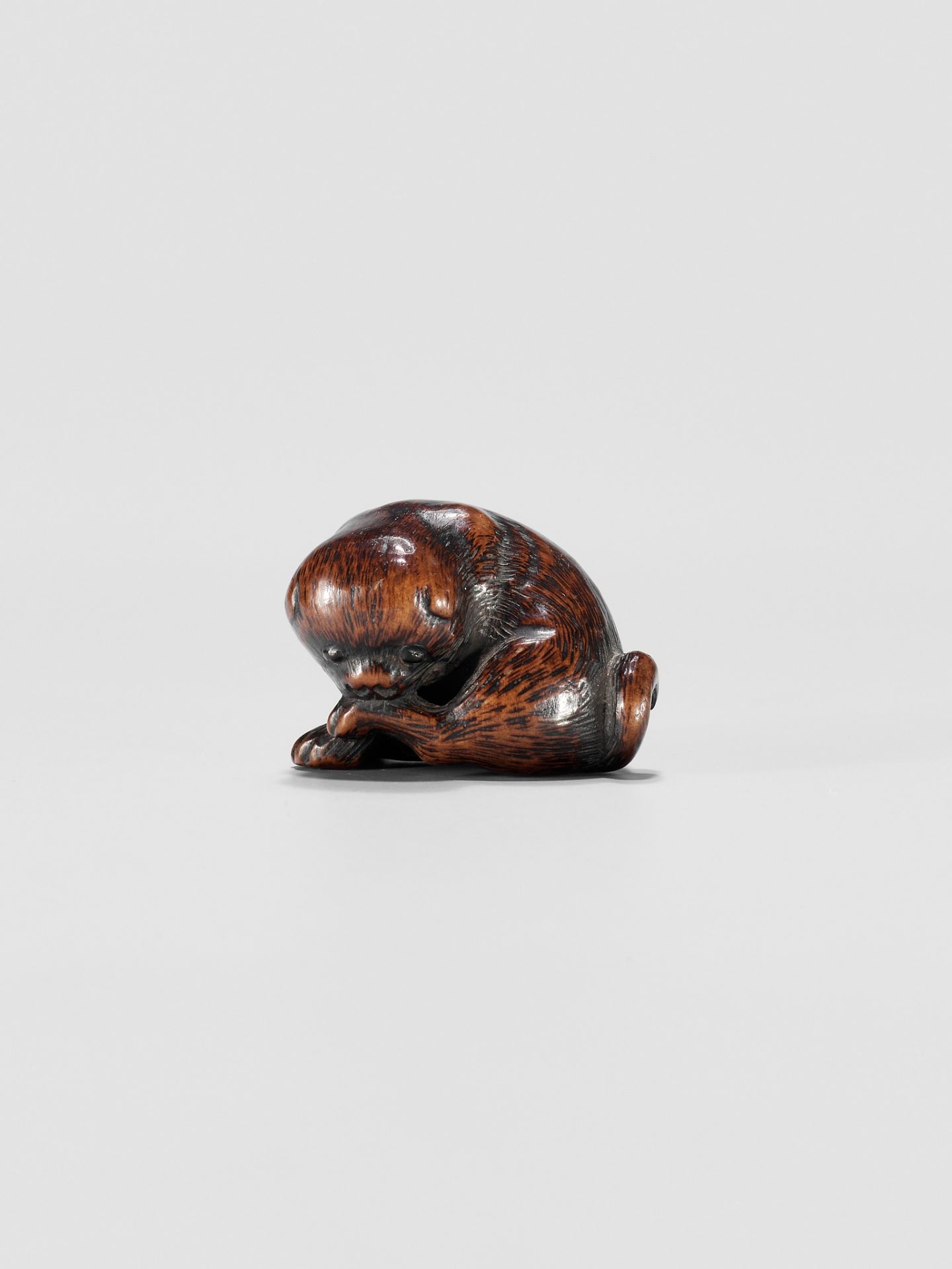 A WOOD NETSUKE OF A PUPPY - Image 9 of 10