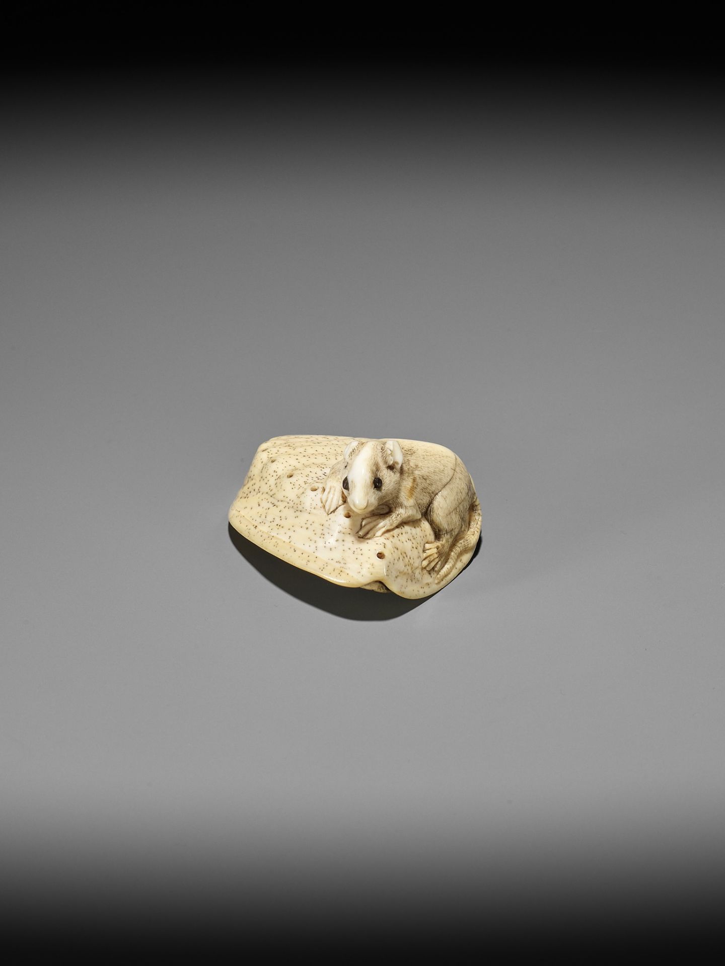AN IVORY NETSUKE OF A RAT ON AWABI SHELL - Image 9 of 12