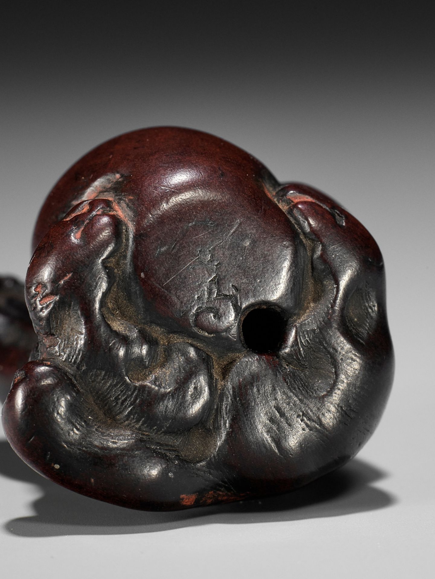 ITTAN: A WOOD NETSUKE DEPICTING TANUKI NO HARA TSUZUMI - Image 10 of 10