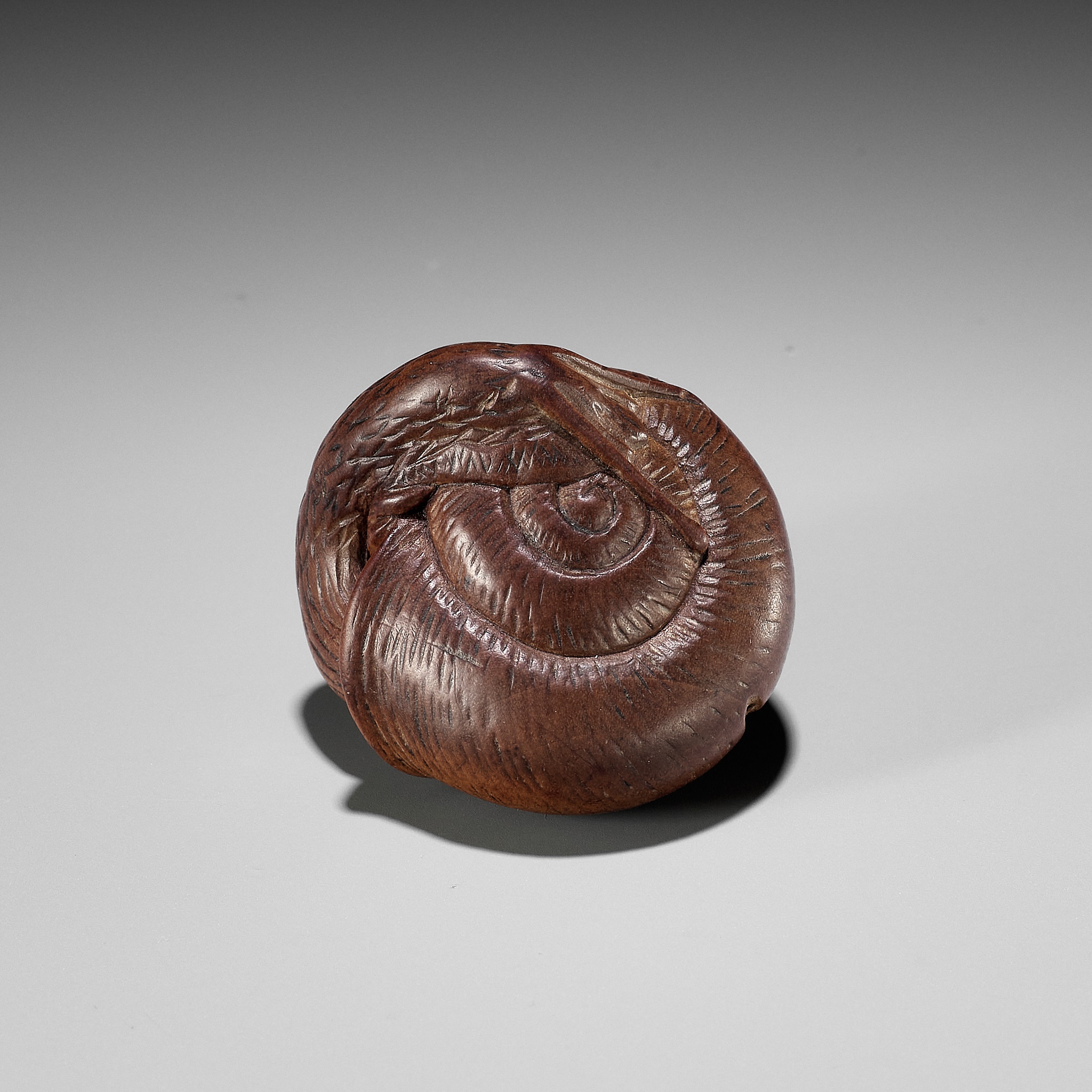 YASUTADA: A WOOD NETSUKE OF A SNAIL EMERGING FROM ITS SHELL