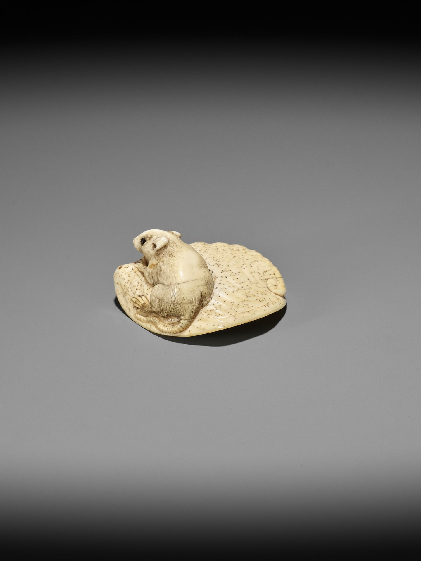 AN IVORY NETSUKE OF A RAT ON AWABI SHELL - Image 4 of 12