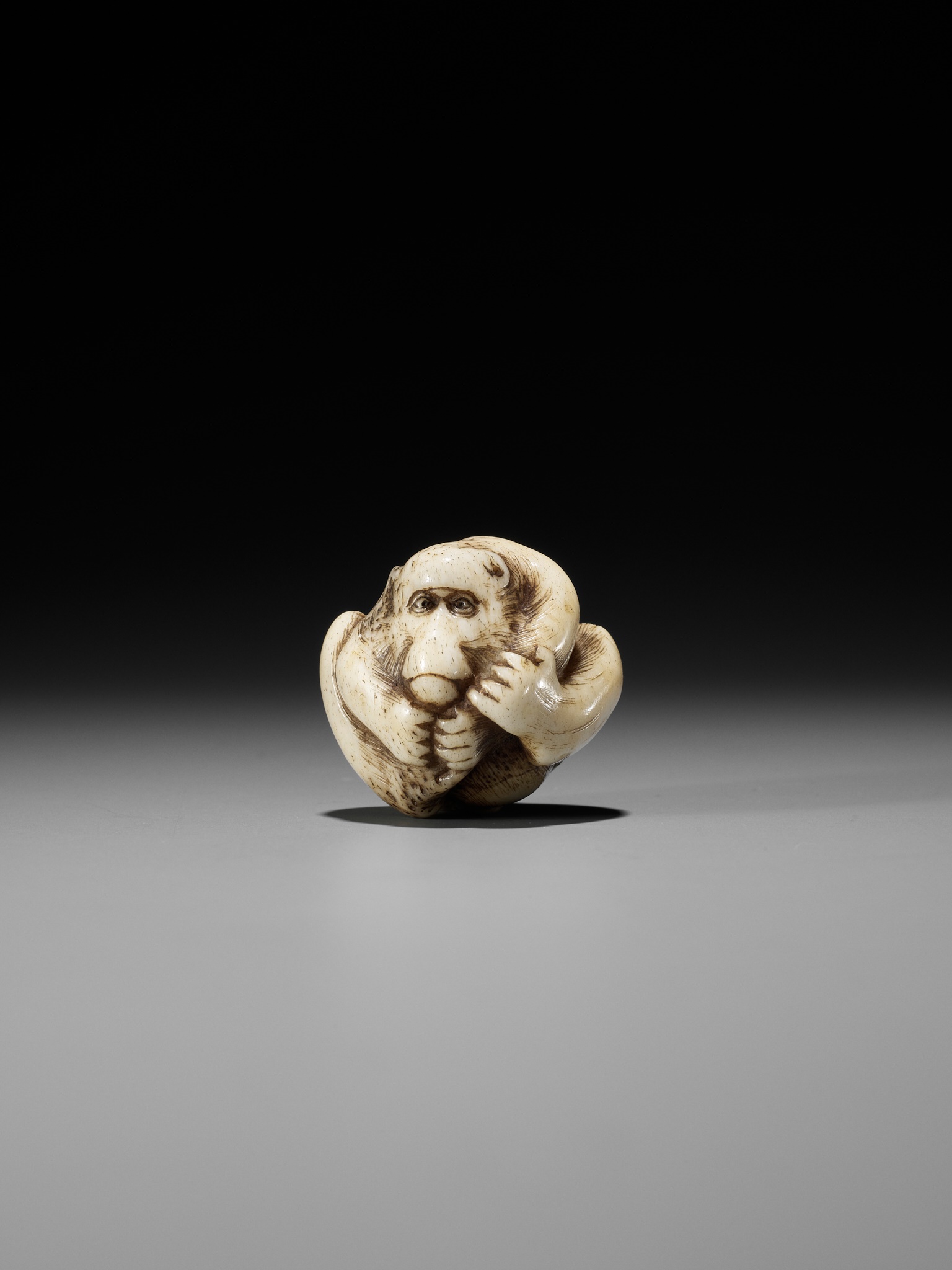 A RARE STAG ANTLER NETSUKE OF A COILED MONKEY - Image 2 of 10