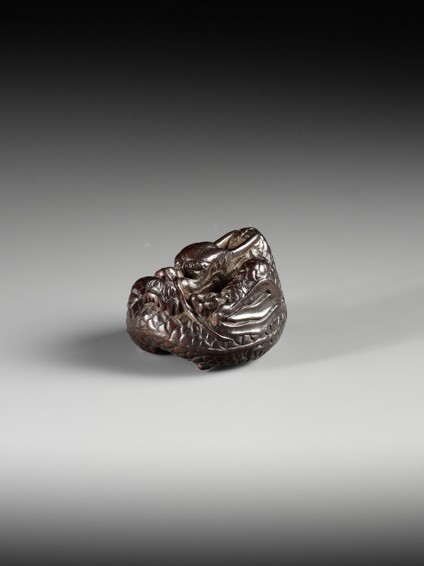 A SUPERB WOOD NETSUKE OF A COILED DRAGON, ATTRIBUTED TO TAMETAKA - Image 7 of 11