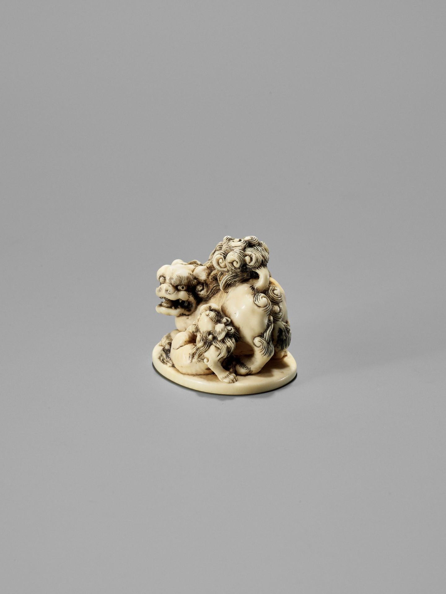 TOSHINAGA: AN IVORY NETSUKE OF A SHISHI WITH YOUNG - Image 5 of 12