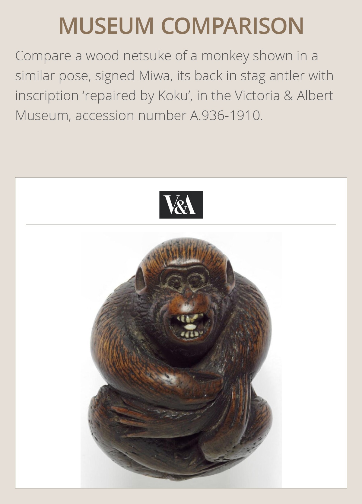 A RARE STAG ANTLER NETSUKE OF A COILED MONKEY - Image 5 of 10