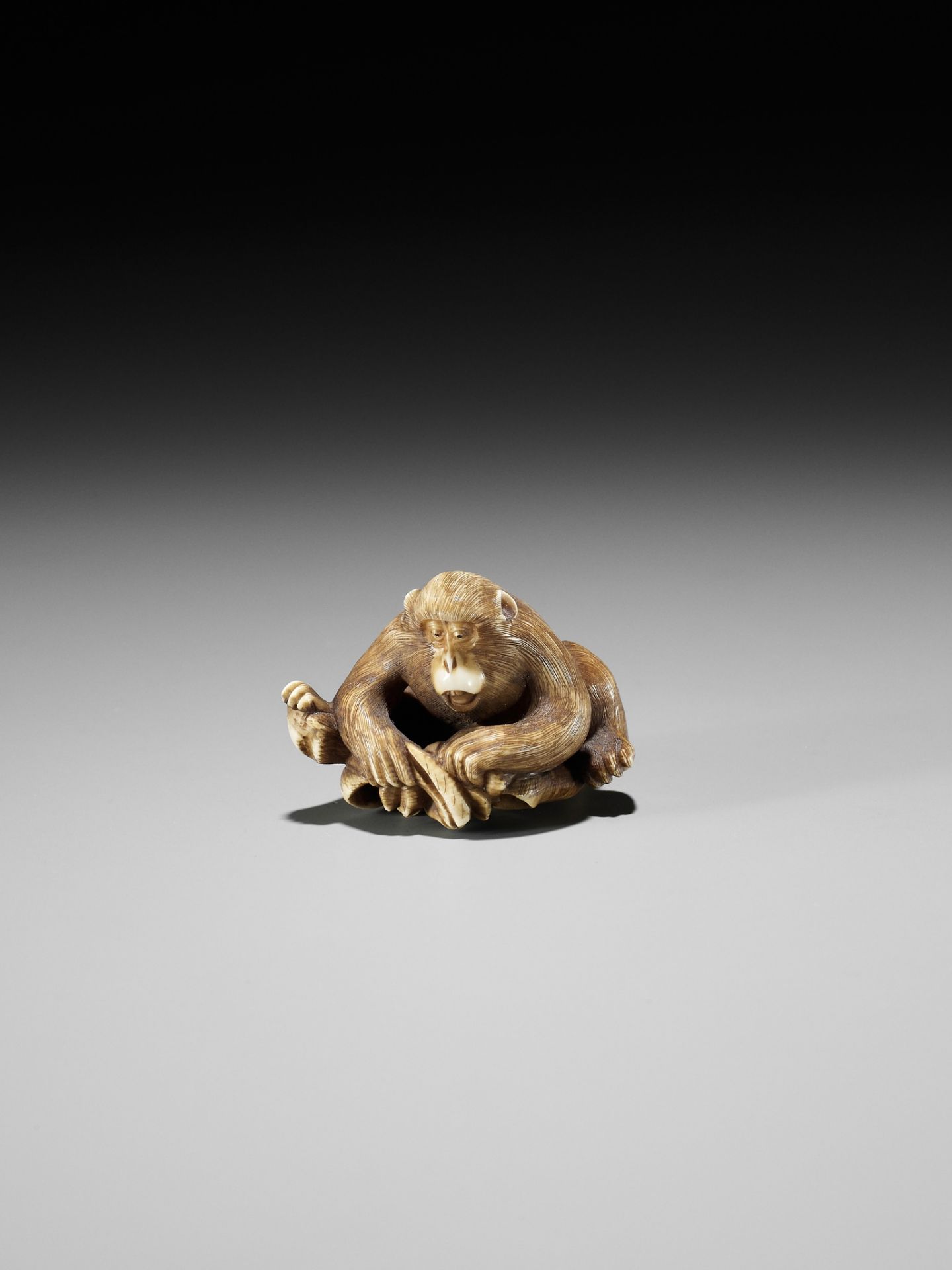 AN IVORY NETSUKE OF A MONKEY, CRAB AND LOTUS - Bild 3 aus 10