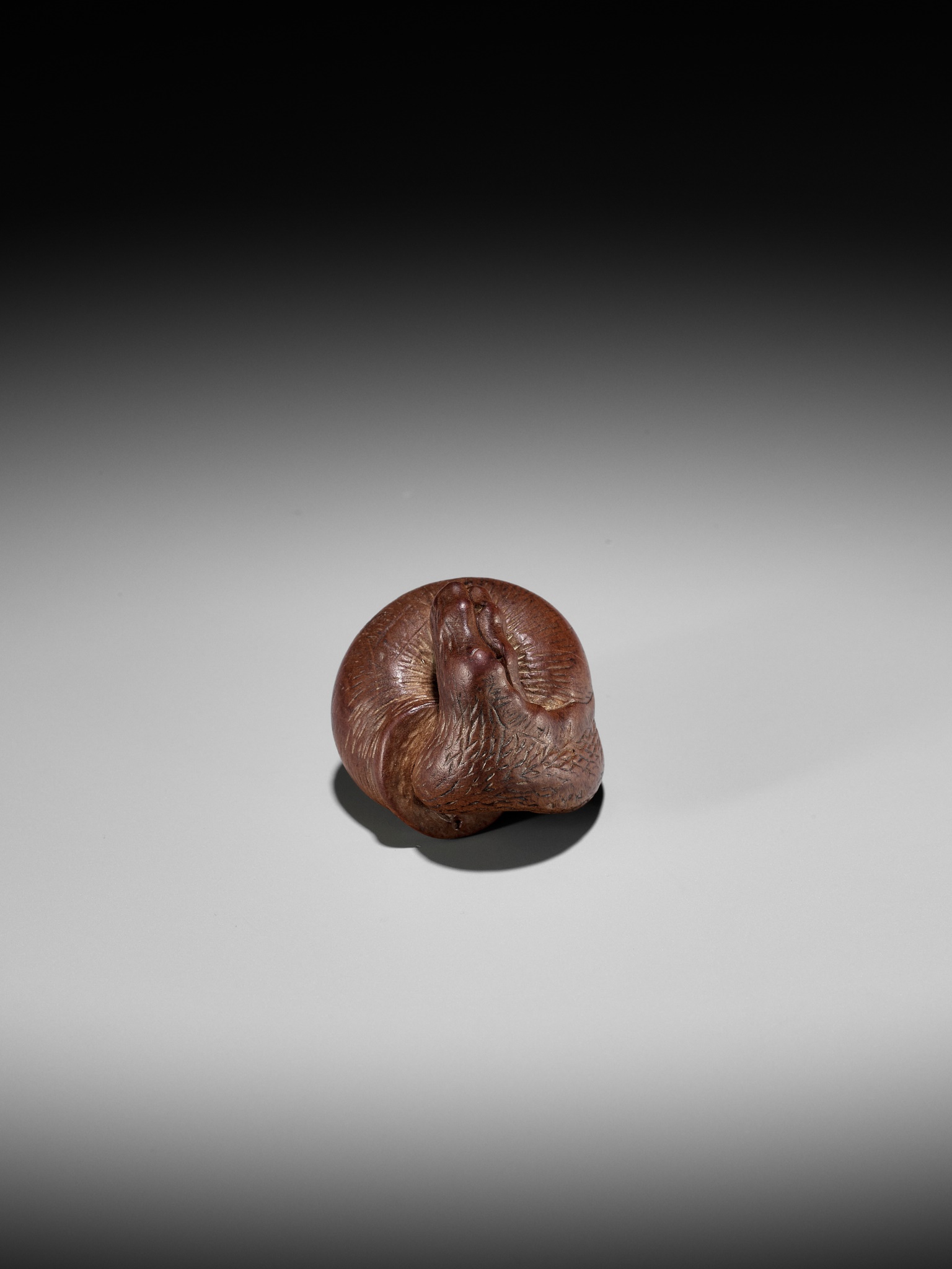 YASUTADA: A WOOD NETSUKE OF A SNAIL EMERGING FROM ITS SHELL - Image 12 of 13