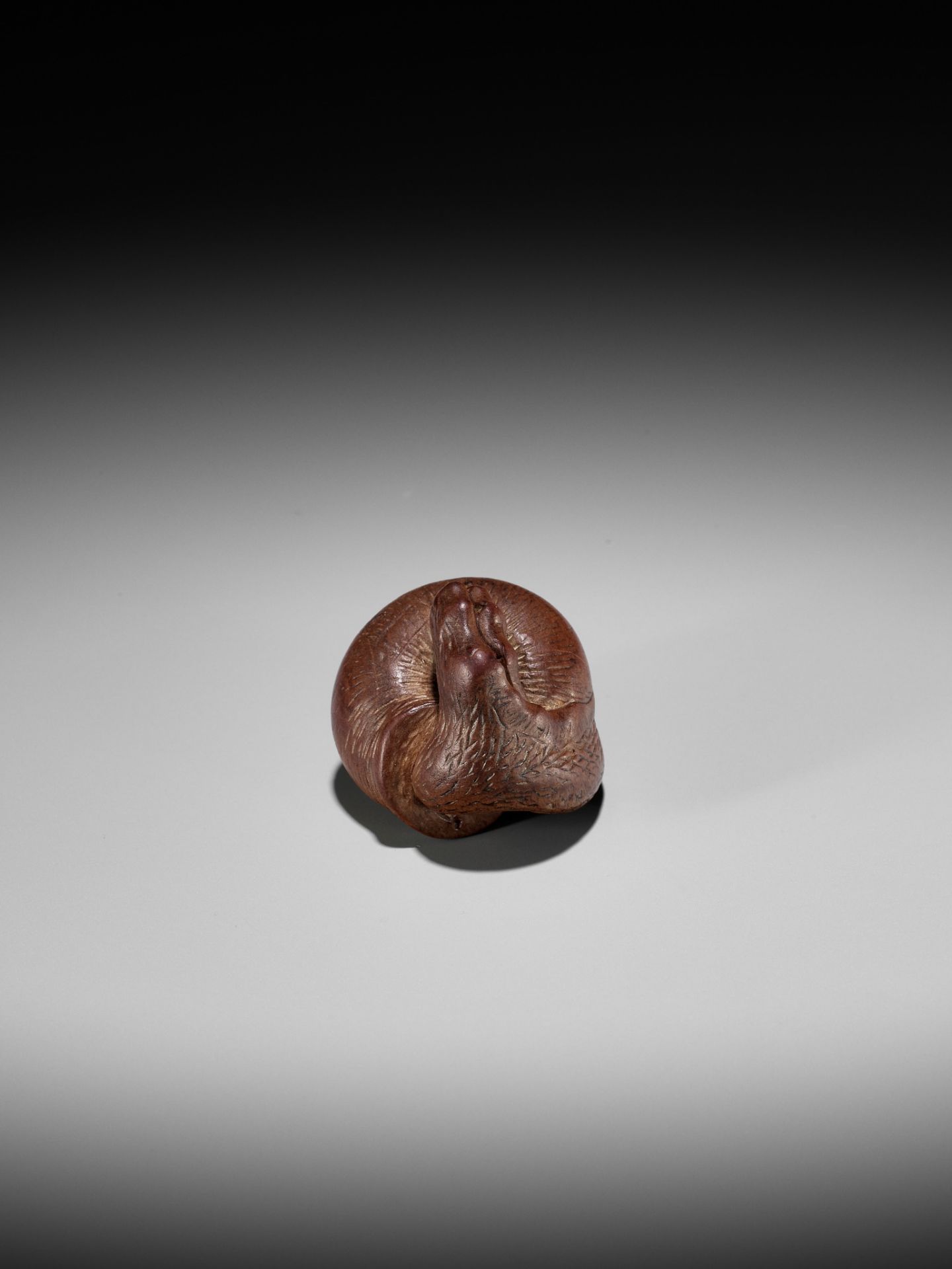 YASUTADA: A WOOD NETSUKE OF A SNAIL EMERGING FROM ITS SHELL - Bild 12 aus 13