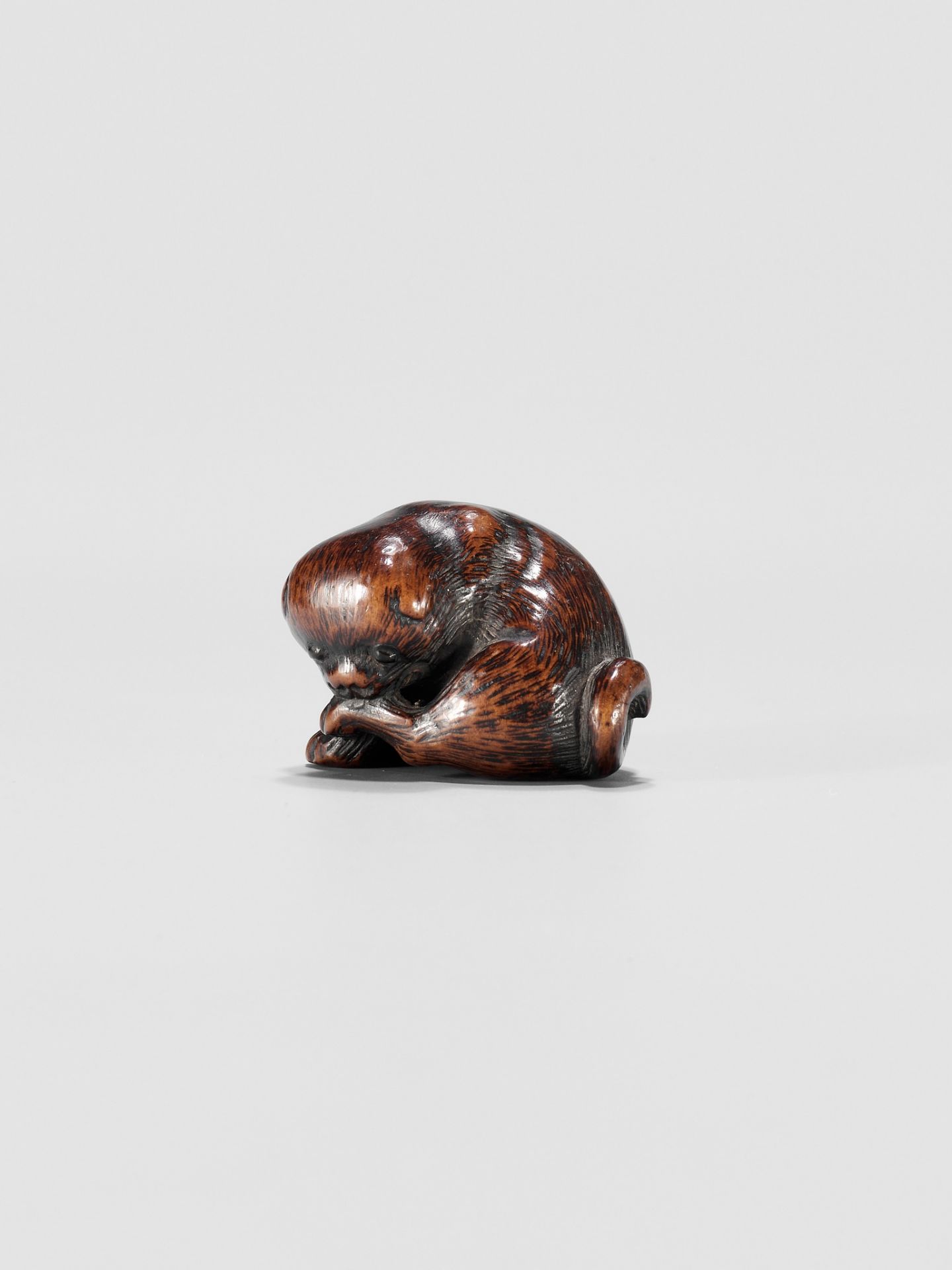 A WOOD NETSUKE OF A PUPPY - Image 3 of 10