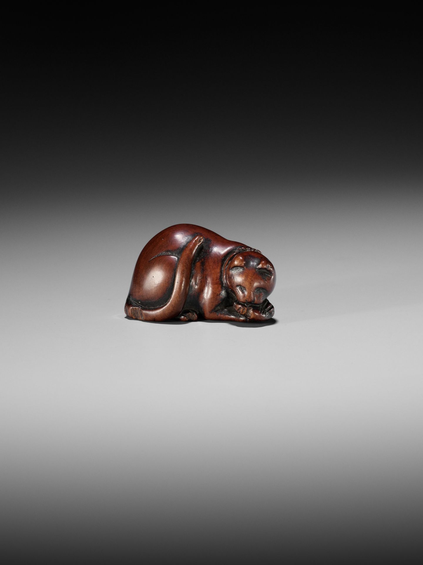 AN EARLY WOOD NETSUKE OF A CAT DEVOURING A FISH - Image 7 of 8