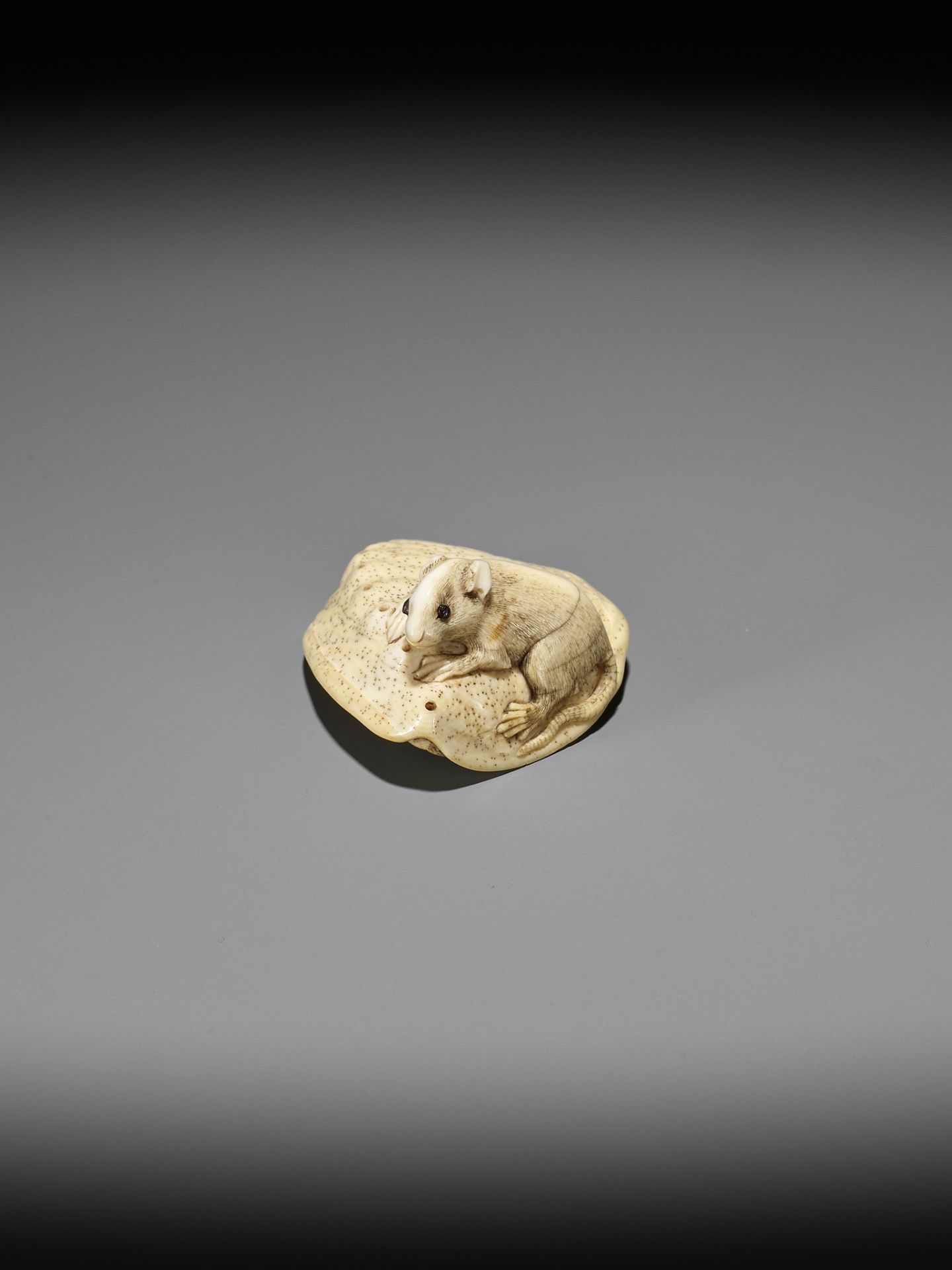 AN IVORY NETSUKE OF A RAT ON AWABI SHELL - Image 10 of 12