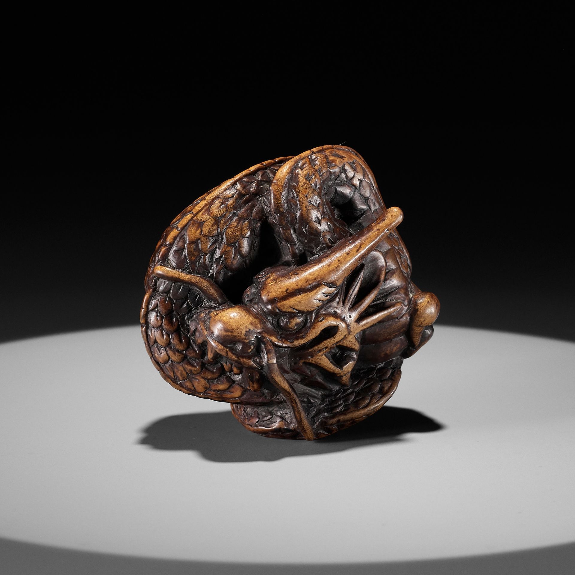 A WOOD NETSUKE OF A COILED DRAGON WITH TAMA