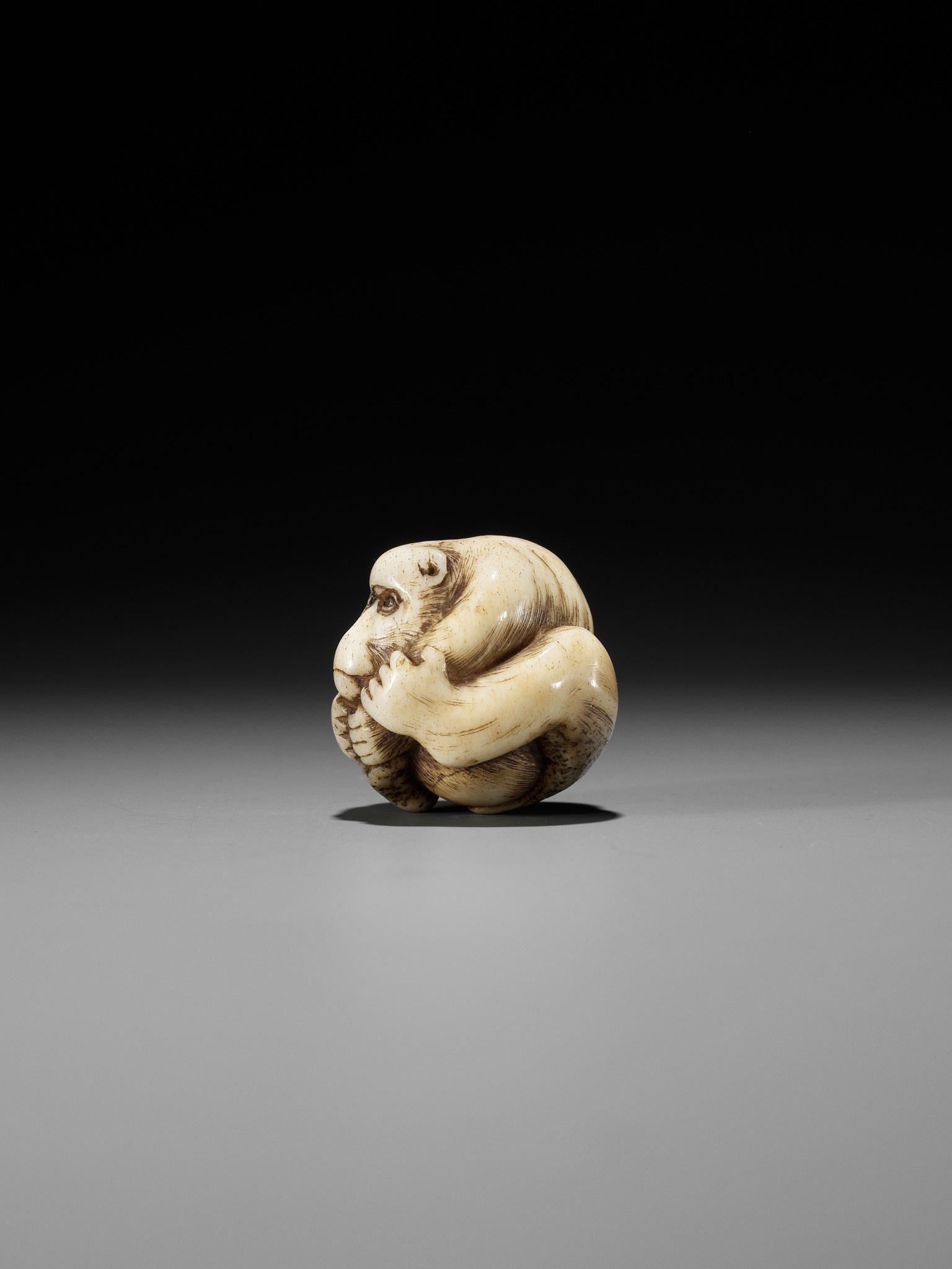 A RARE STAG ANTLER NETSUKE OF A COILED MONKEY - Image 4 of 10