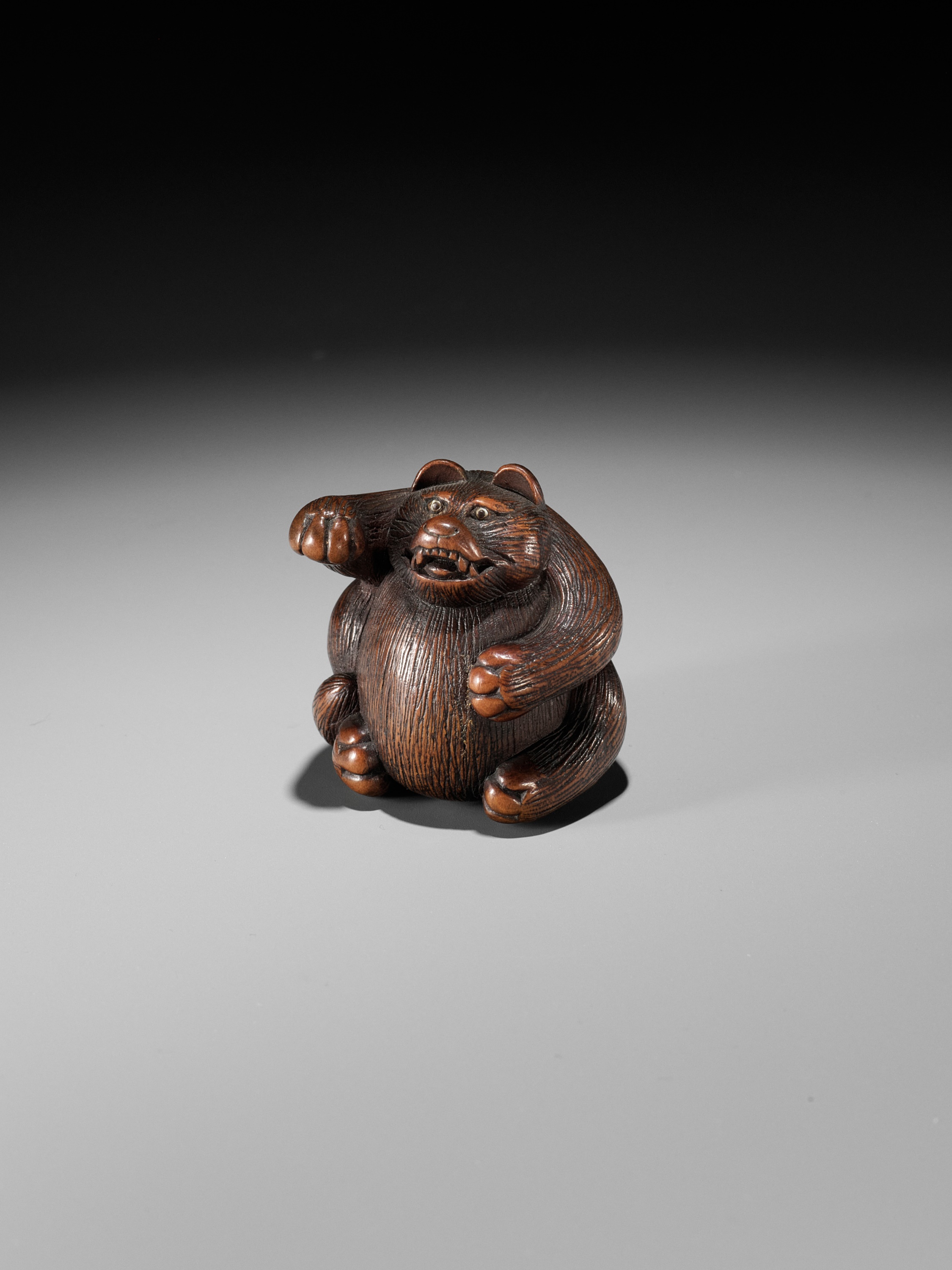 MINKO: A WOOD NETSUKE OF TANUKI HARA NO TSUZUMI - Image 9 of 11